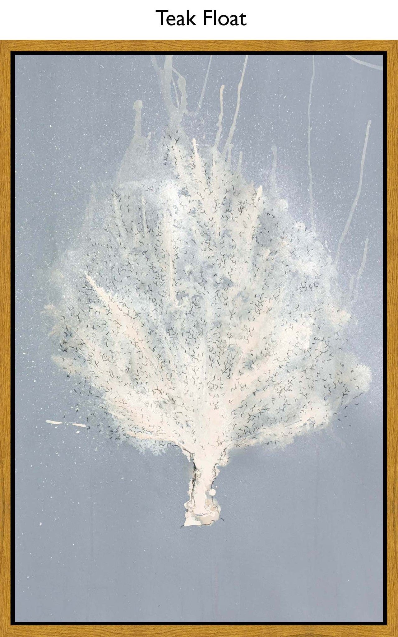 Teak Float