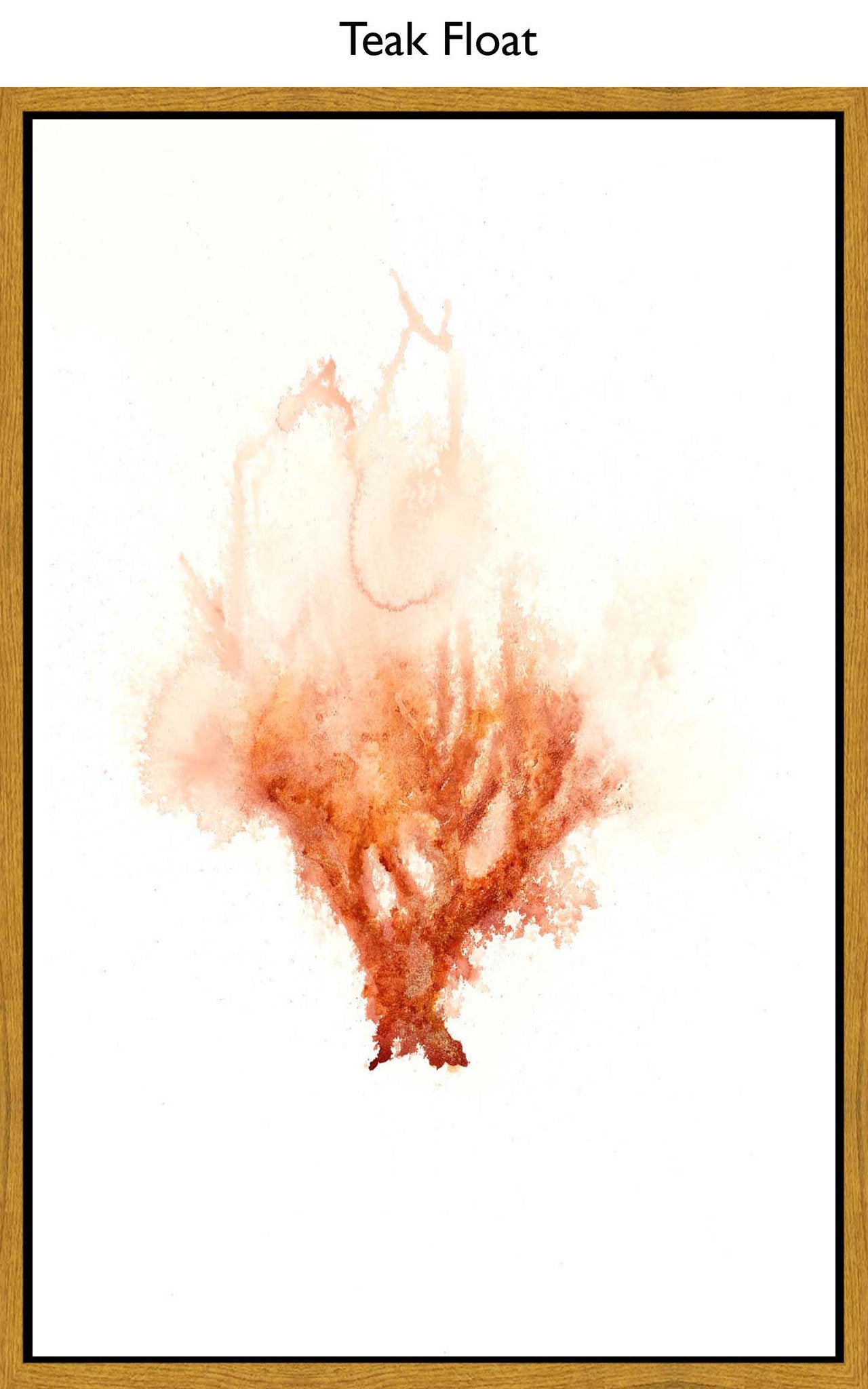 Teak Float