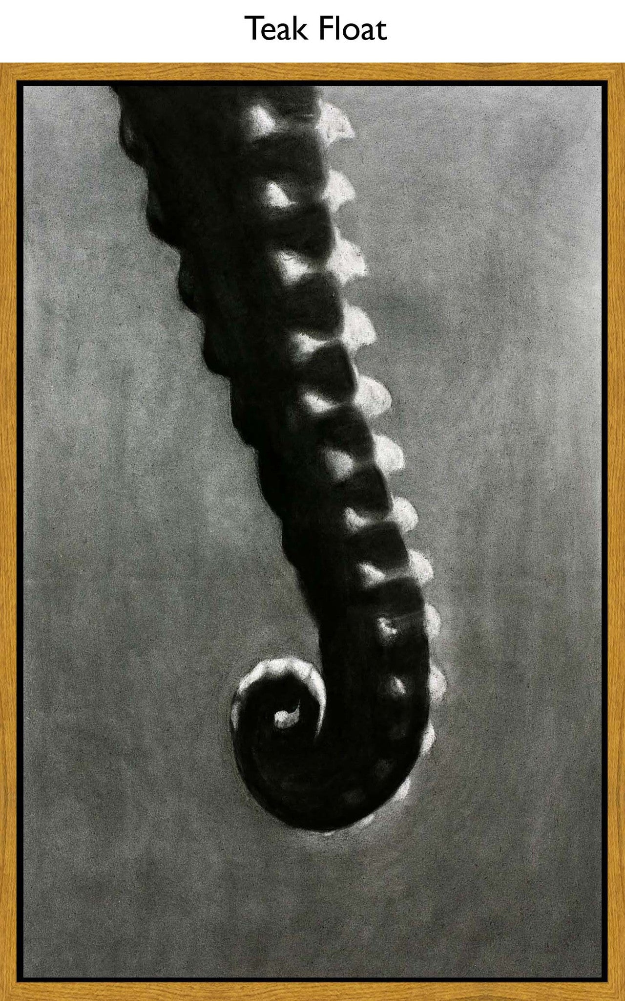 Teak Float