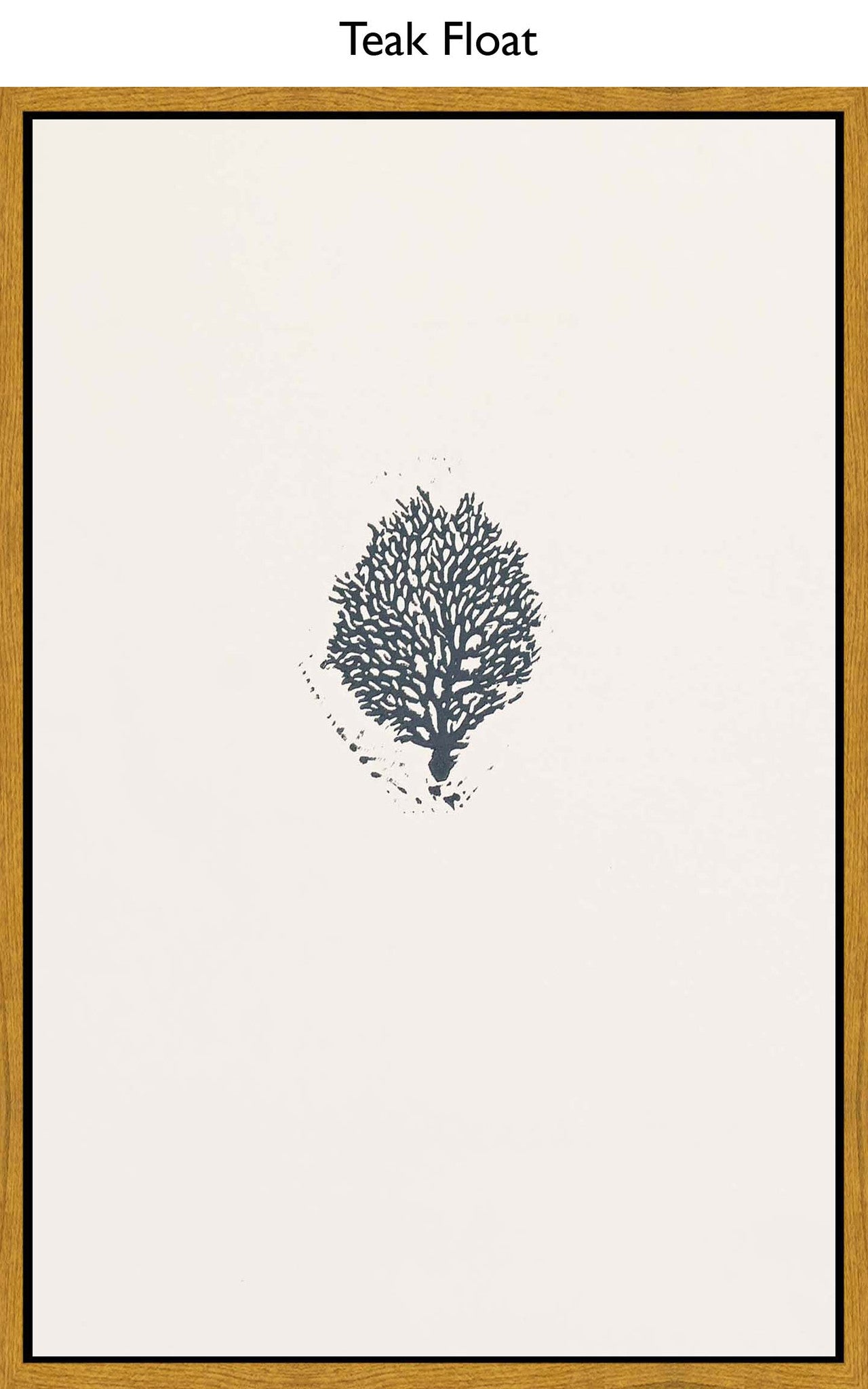 Teak Float