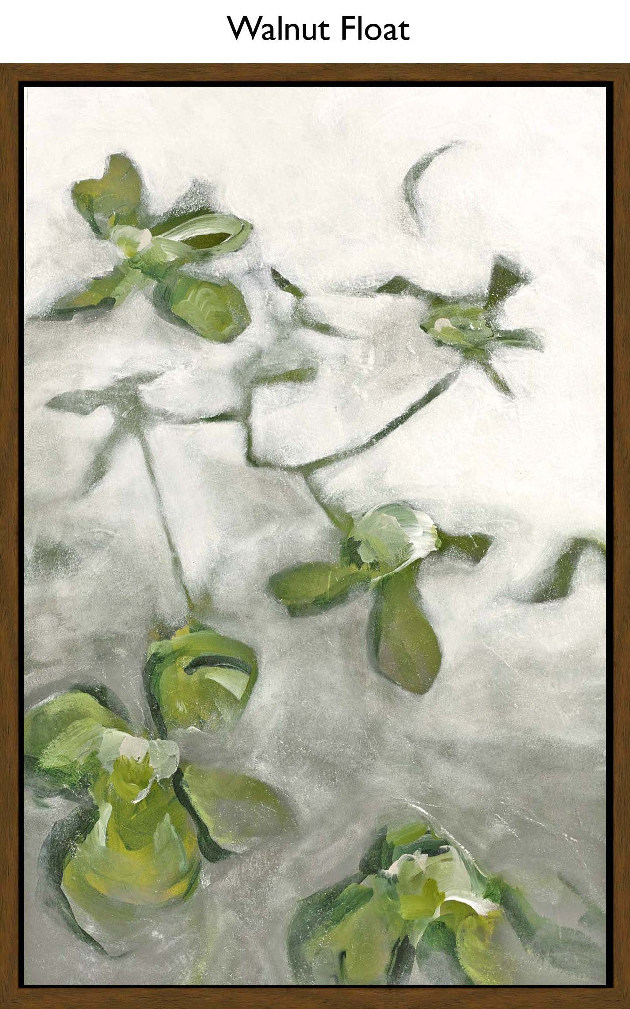Walnut Float