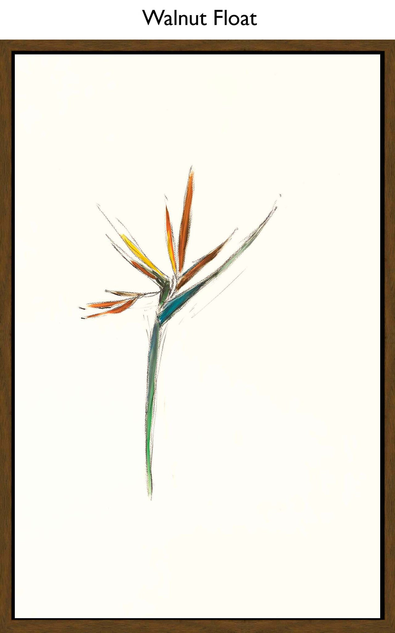 Walnut Float