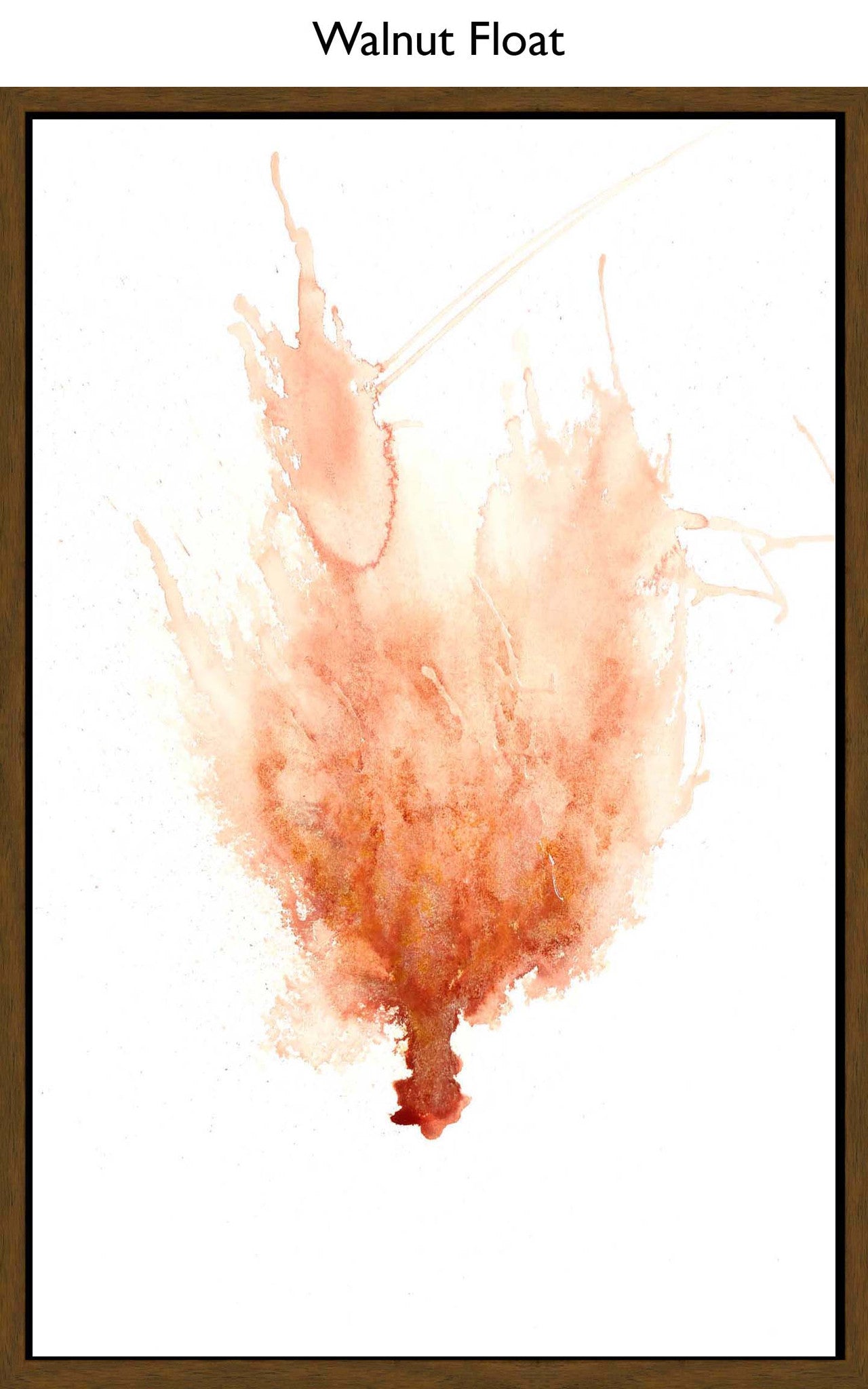 Walnut Float