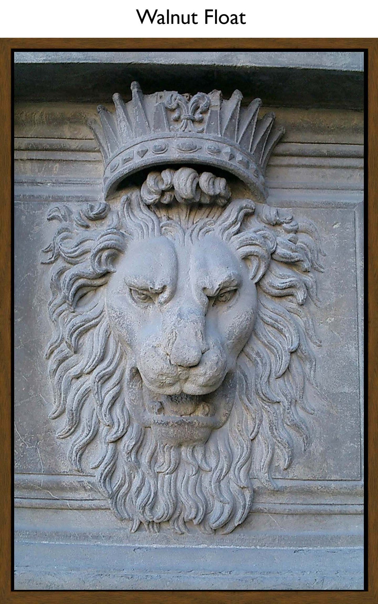 Walnut Float