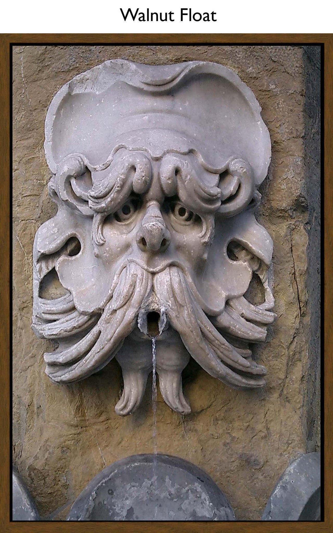 Walnut Float