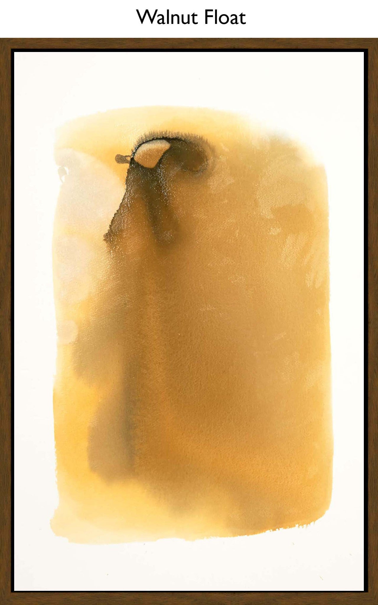 Walnut Float
