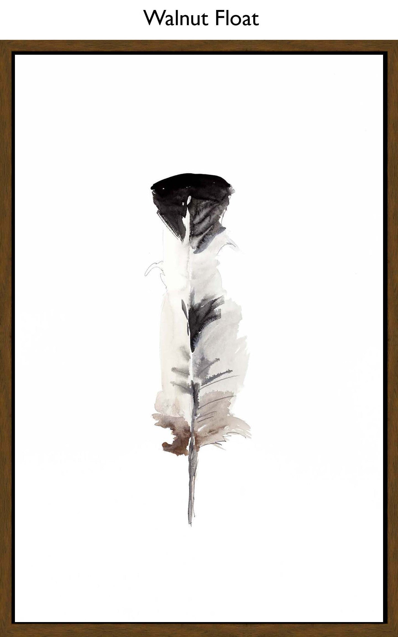 Walnut Float
