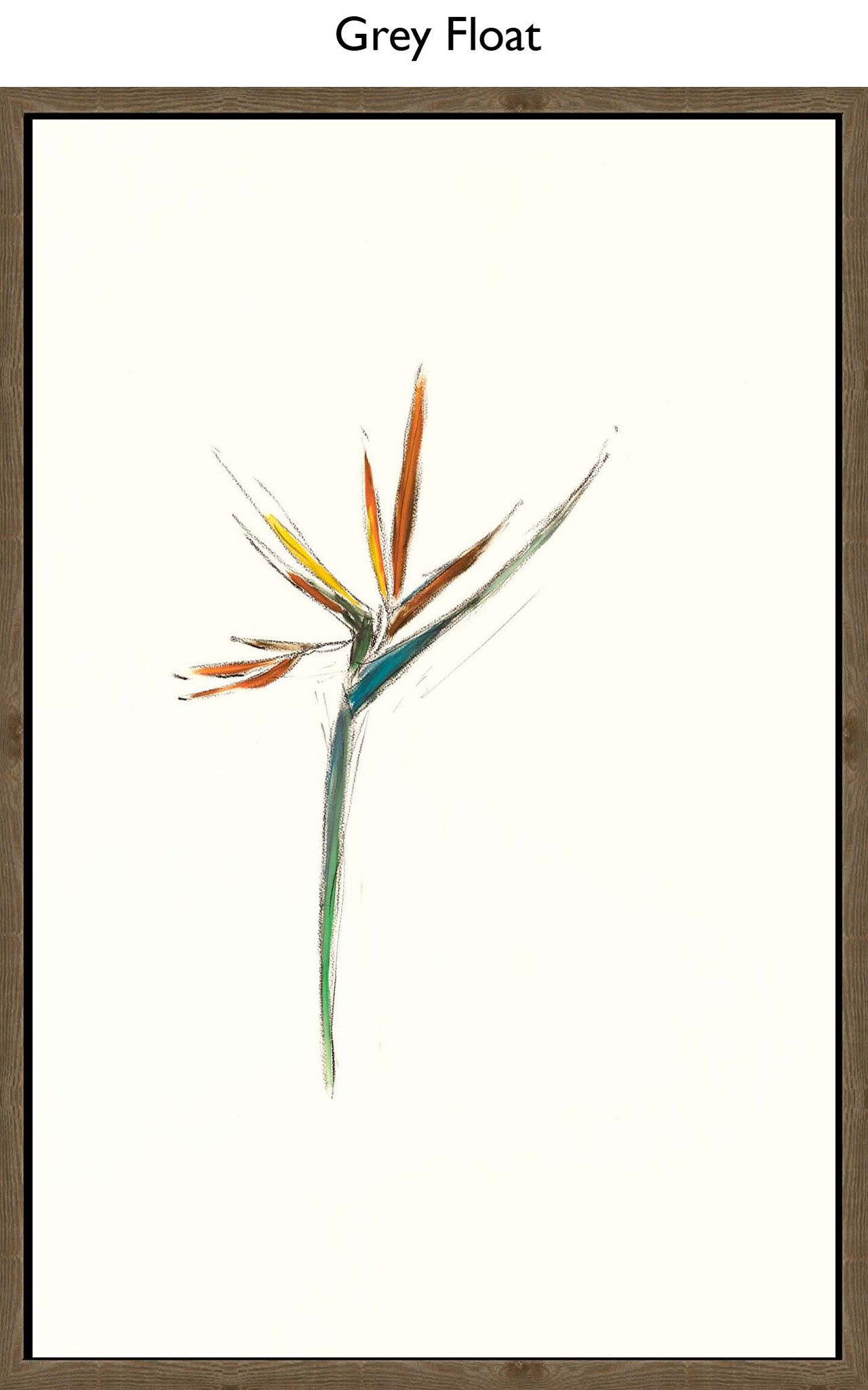 Grey Float