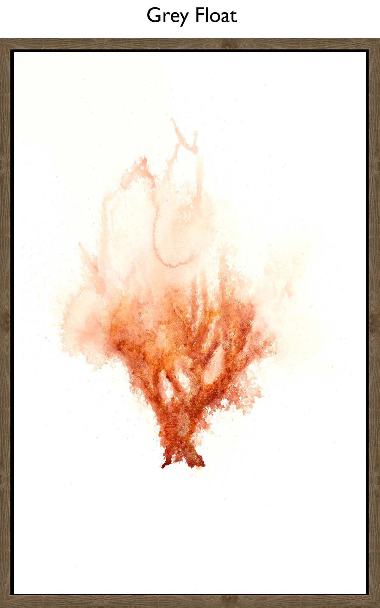 Grey Float