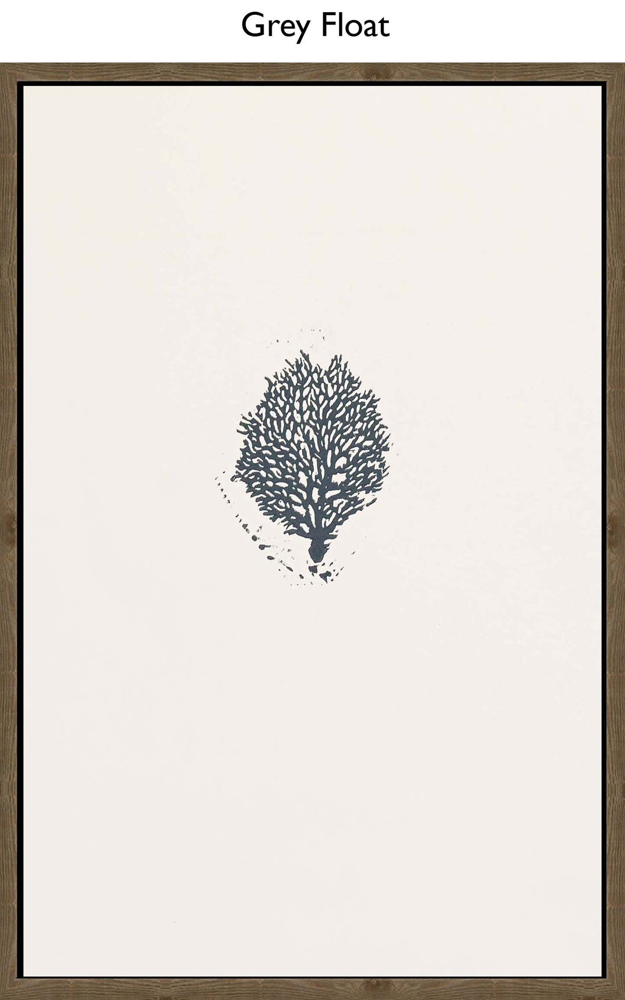 Grey Float