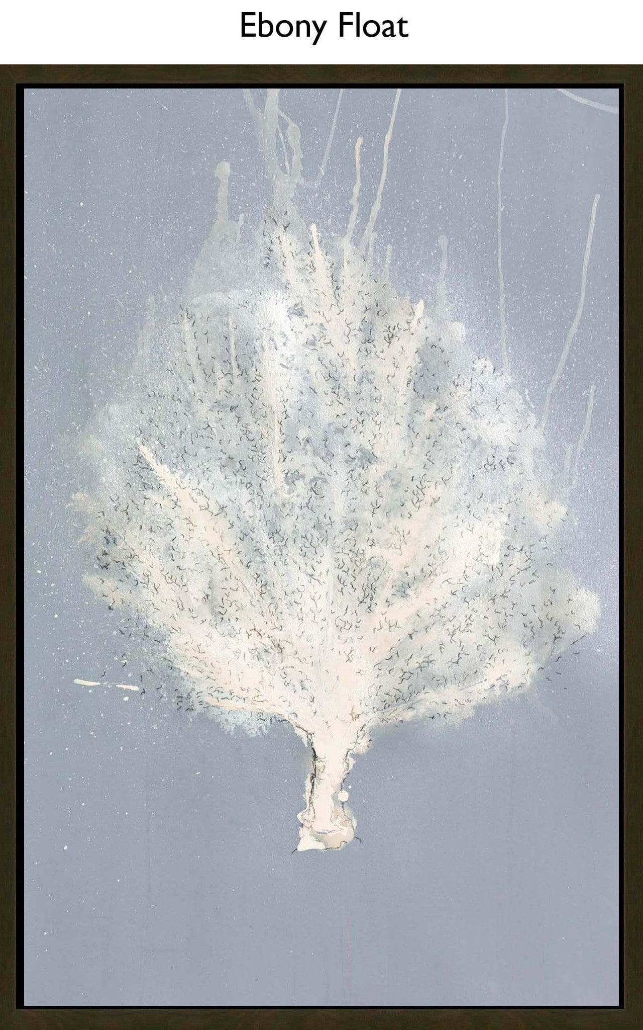 Ebony Float