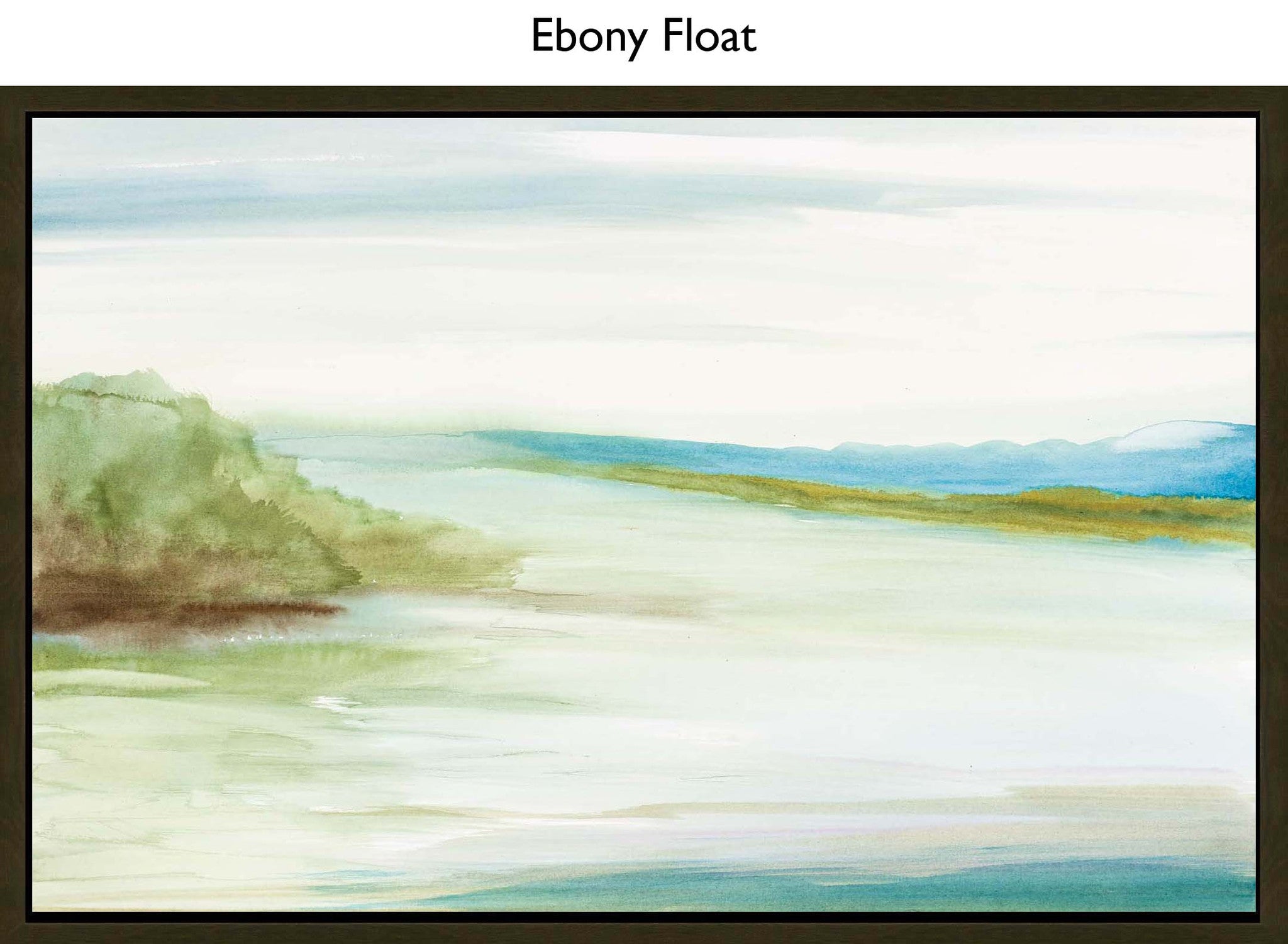Ebony Float
