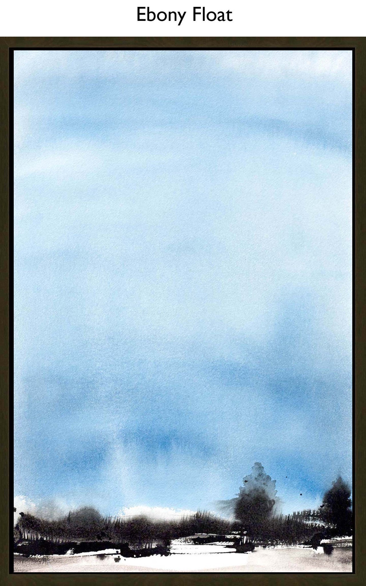 Ebony Float
