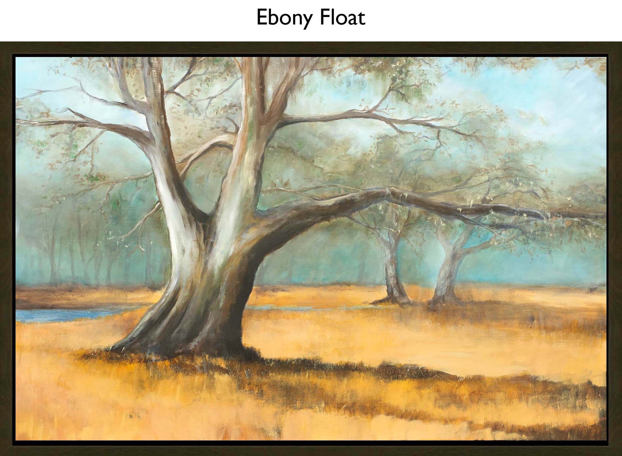 Ebony Float