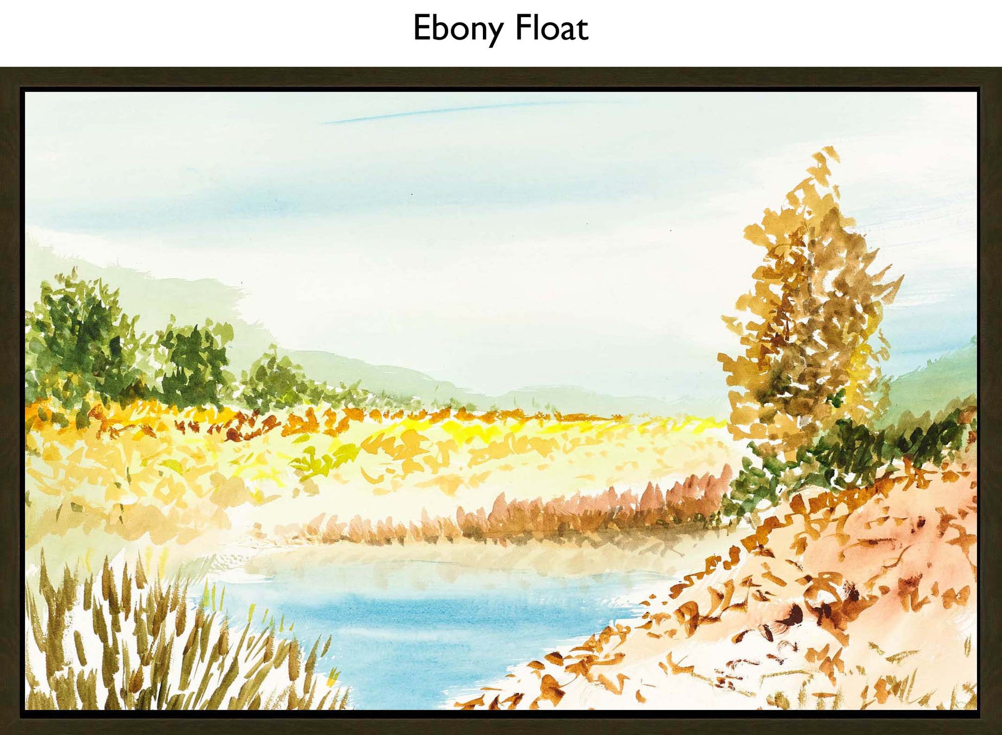 Ebony Float