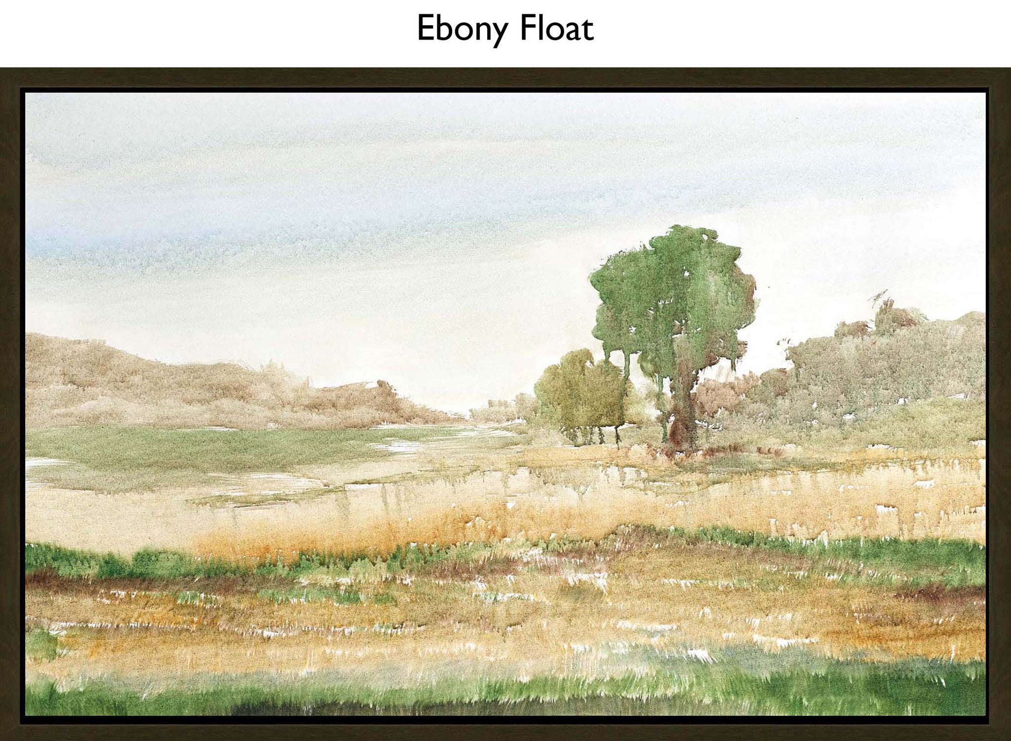 Ebony Float