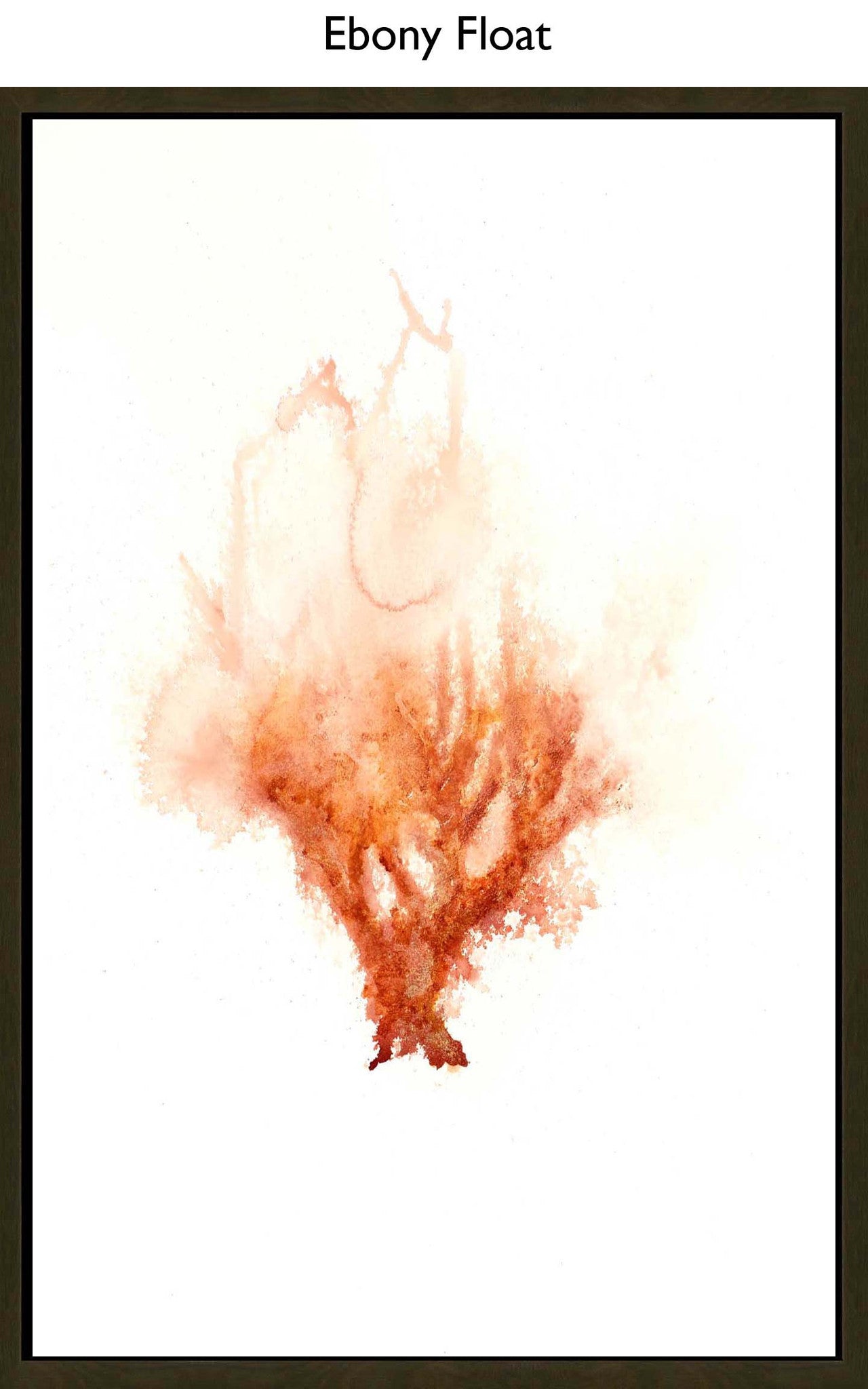 Ebony Float
