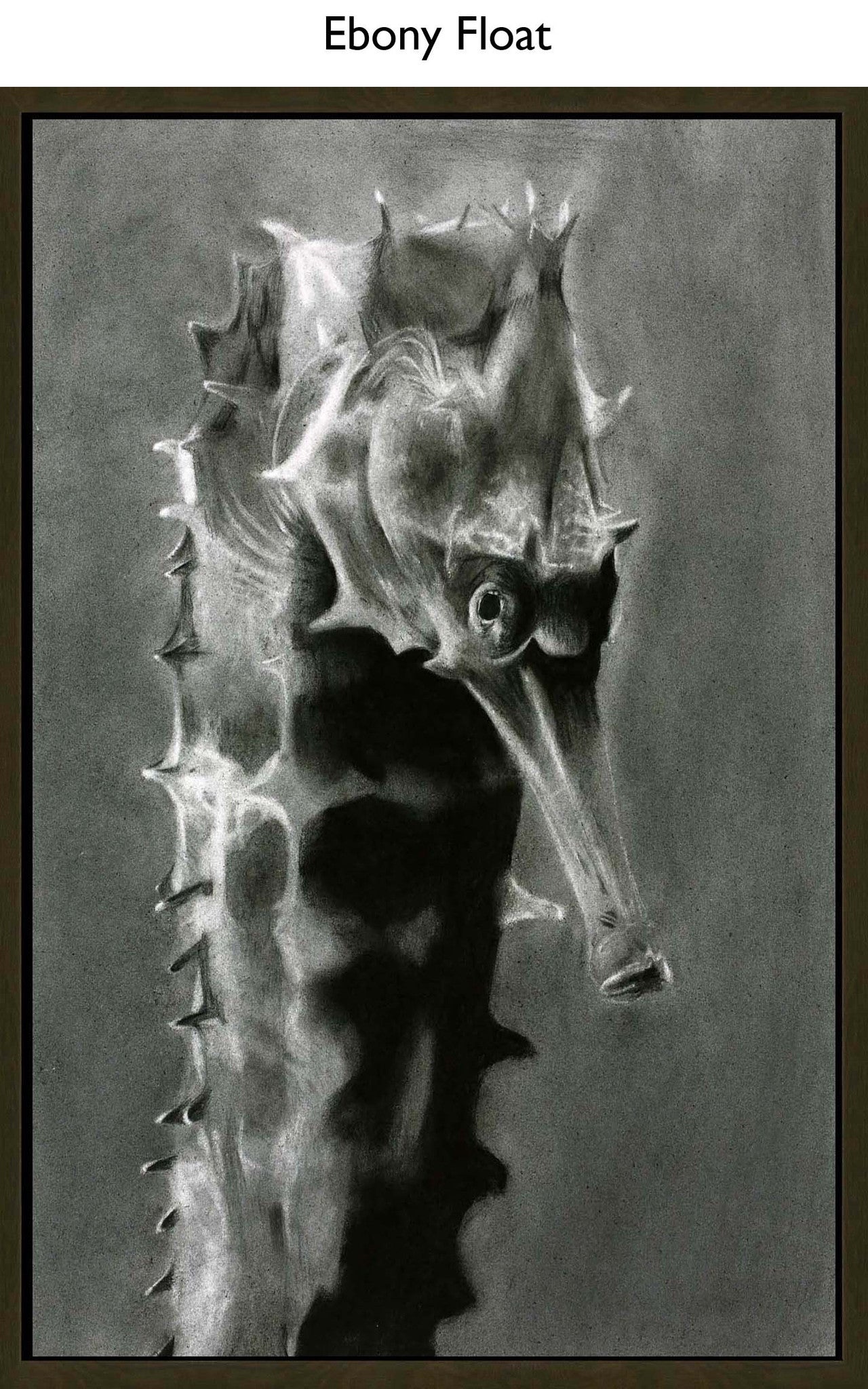 Ebony Float