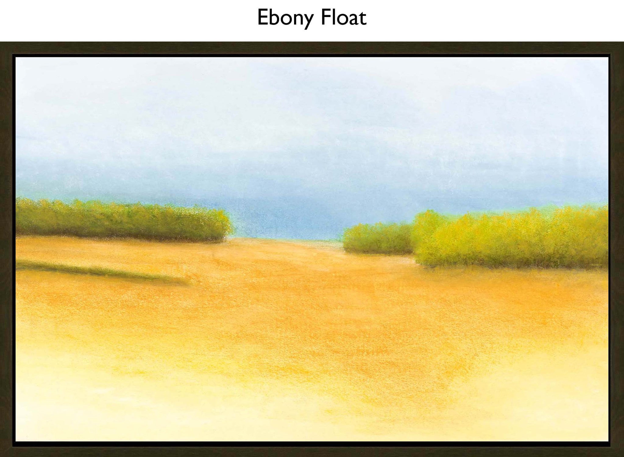 Ebony Float