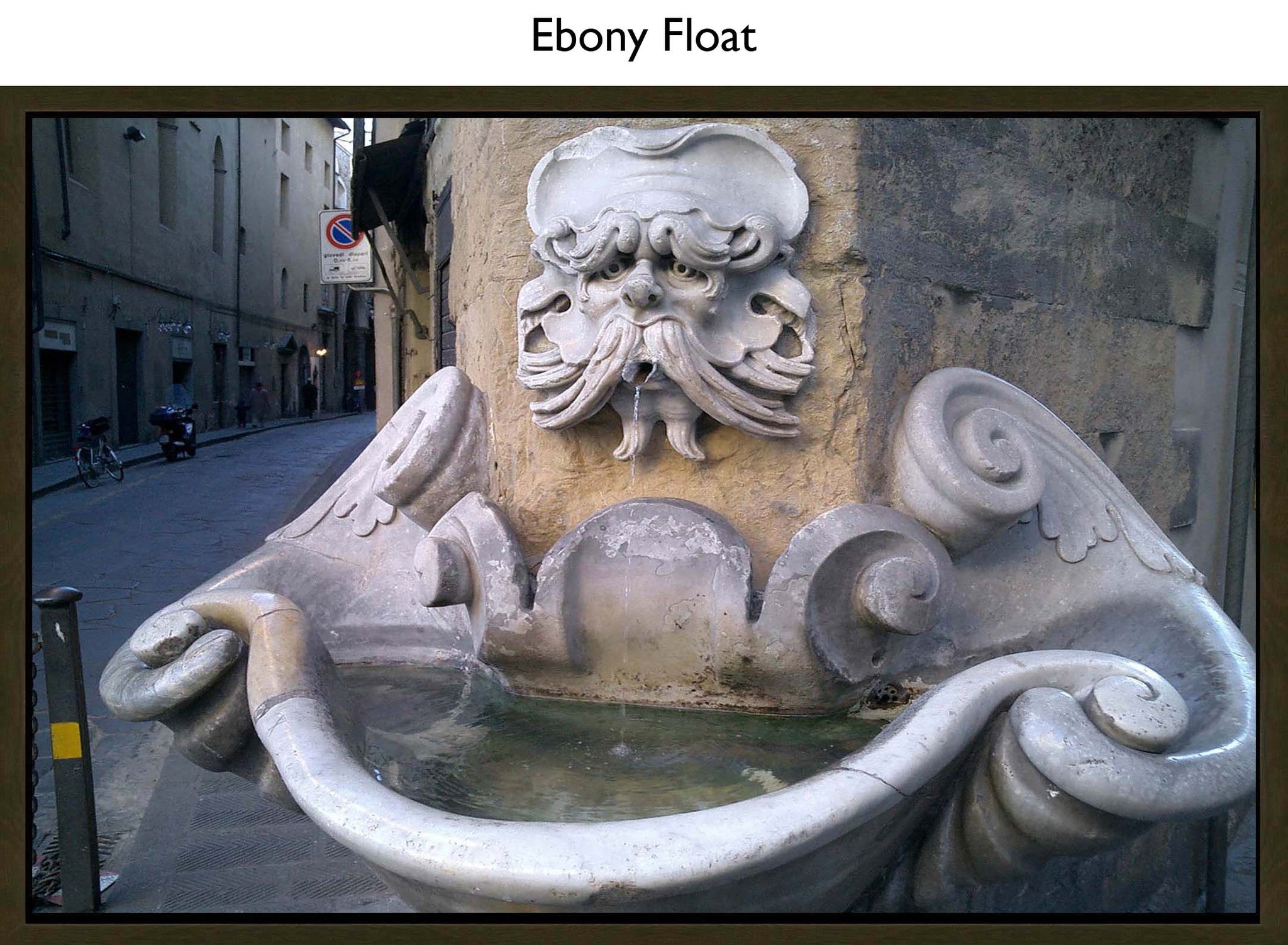 Ebony Float