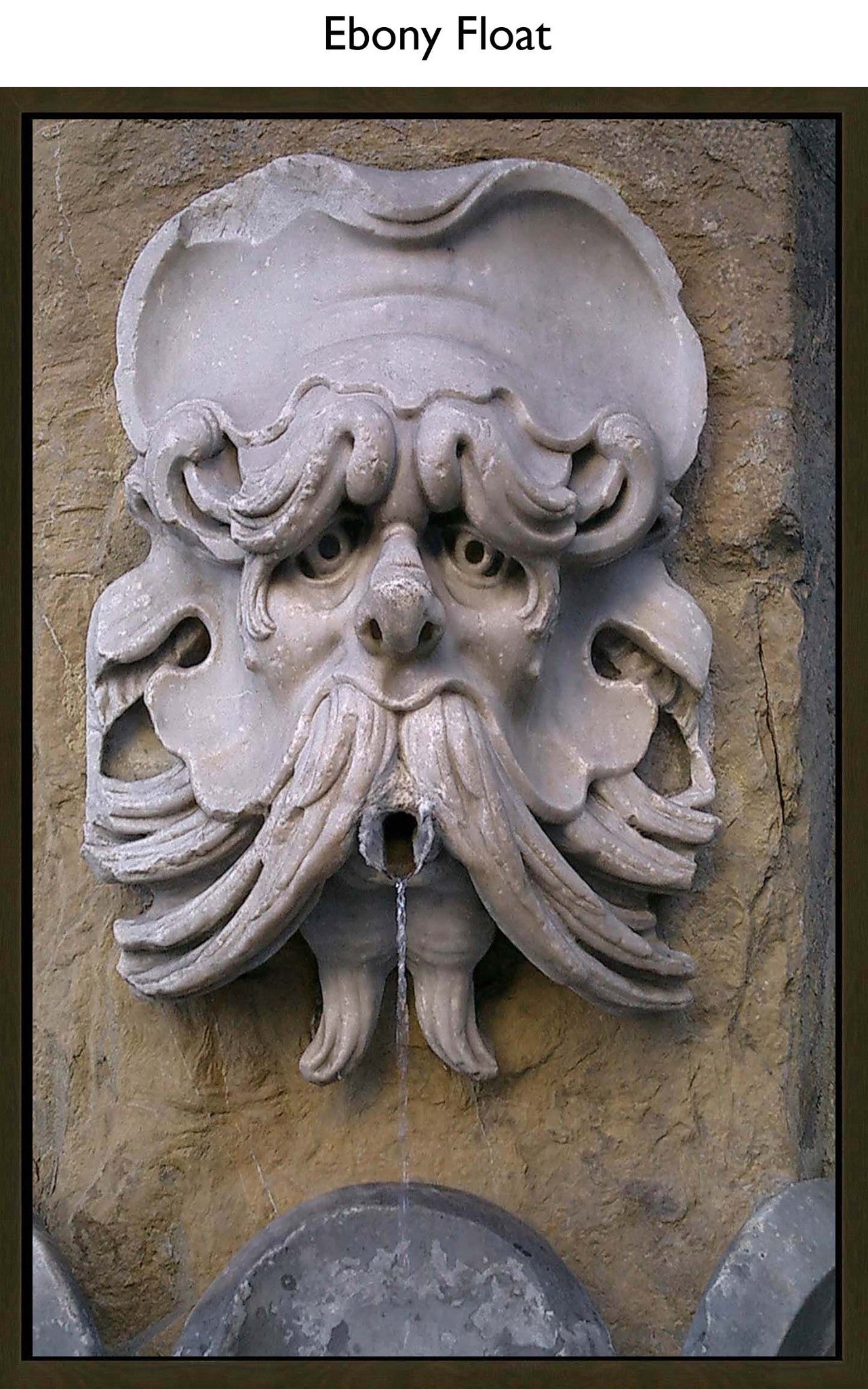 Ebony Float