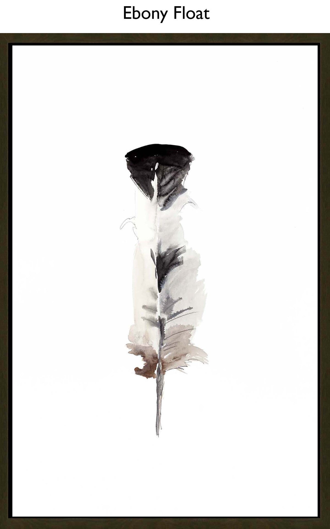 Ebony Float