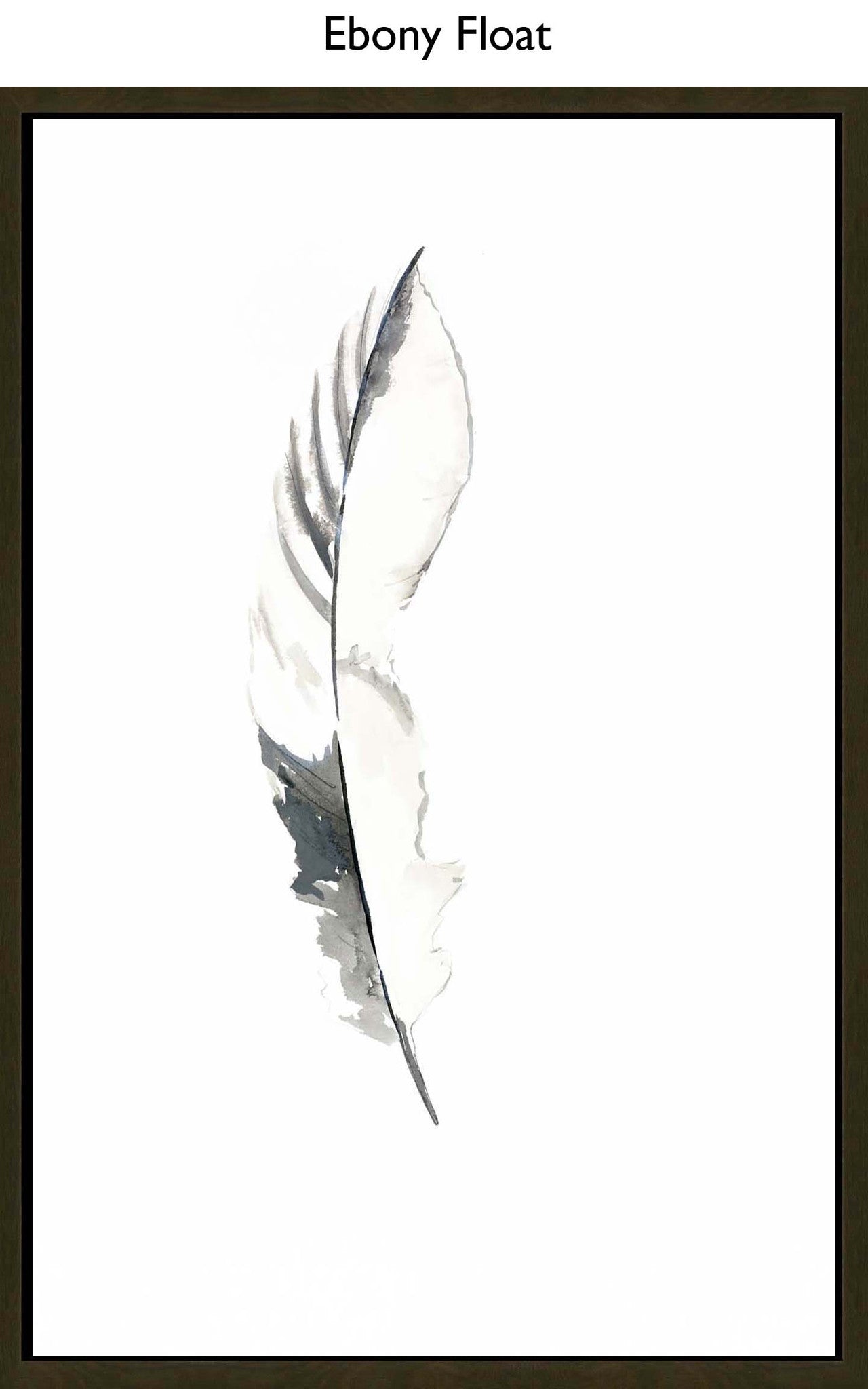 Ebony Float