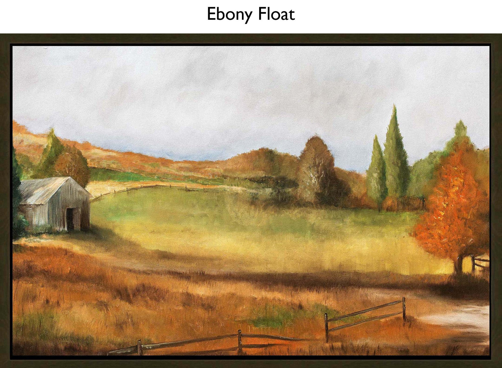 Ebony Float