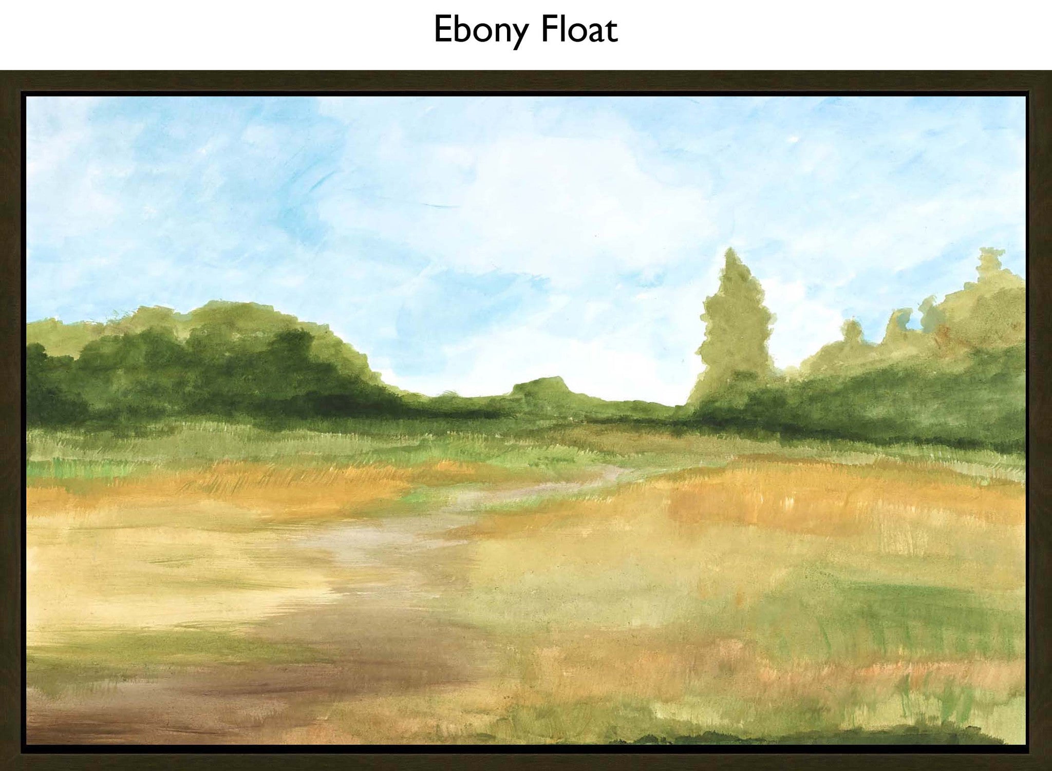 Ebony Float