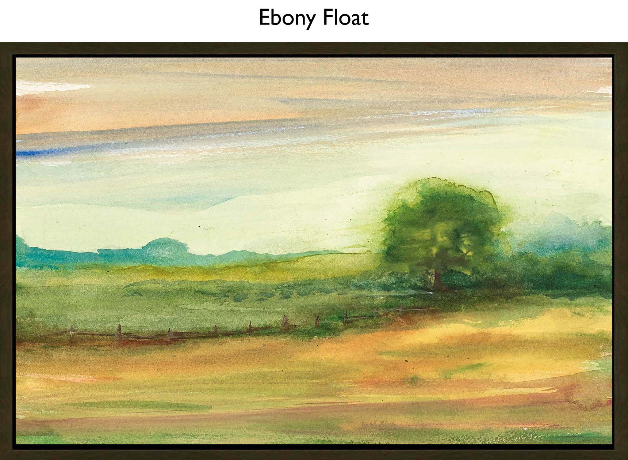 Ebony Float