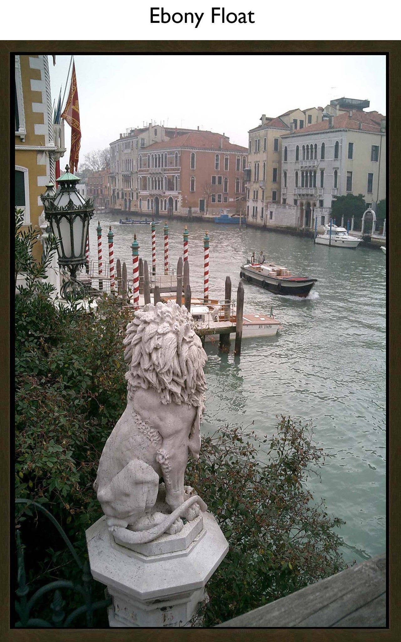 Ebony Float