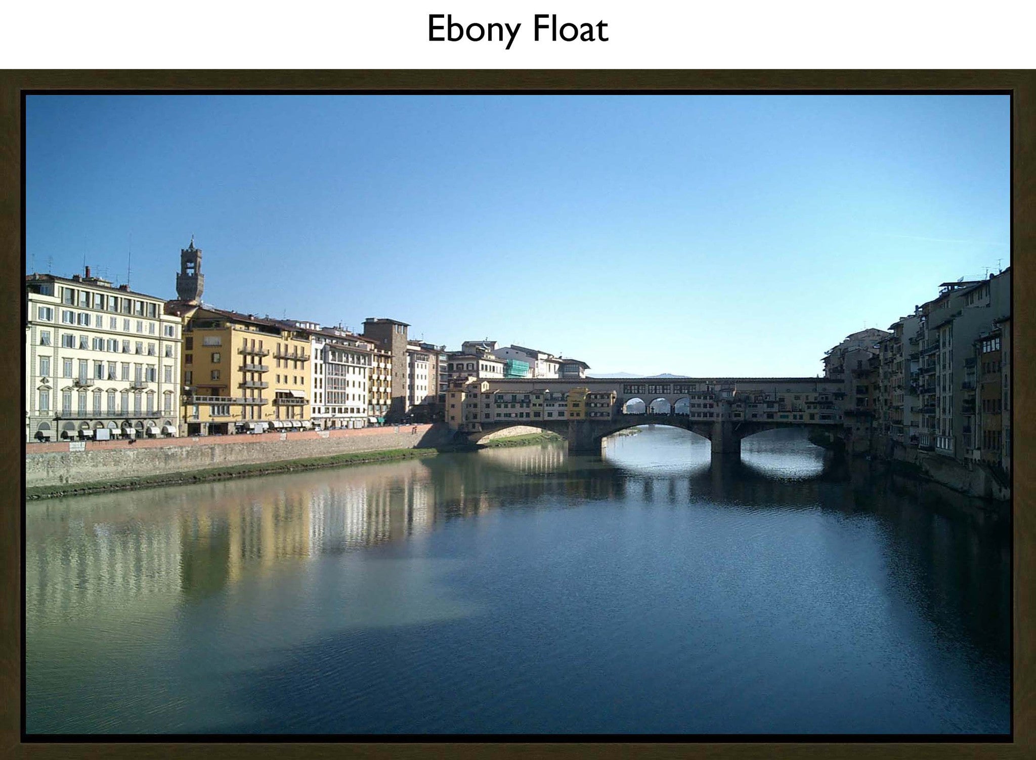 Ebony Float