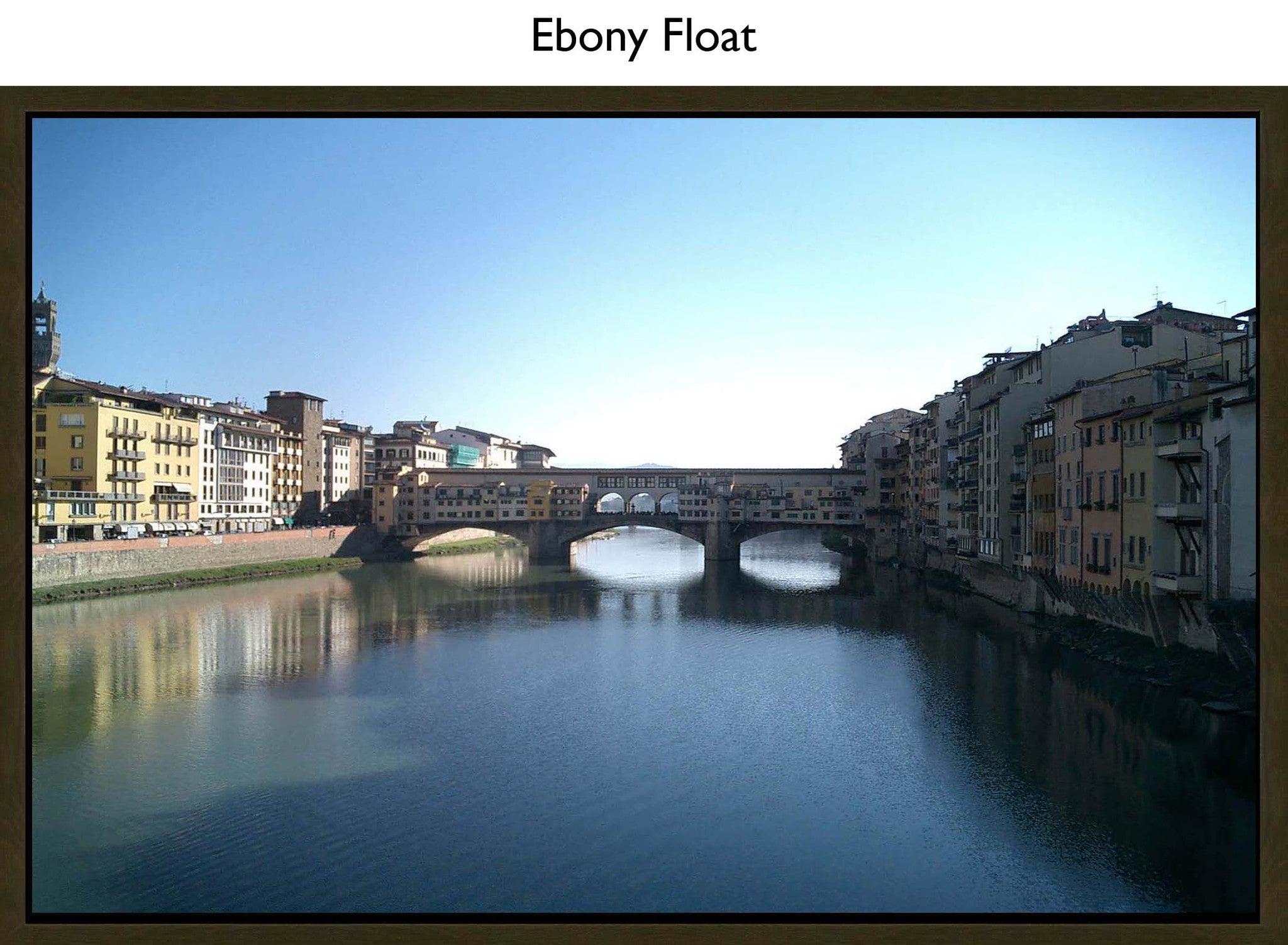 Ebony Float