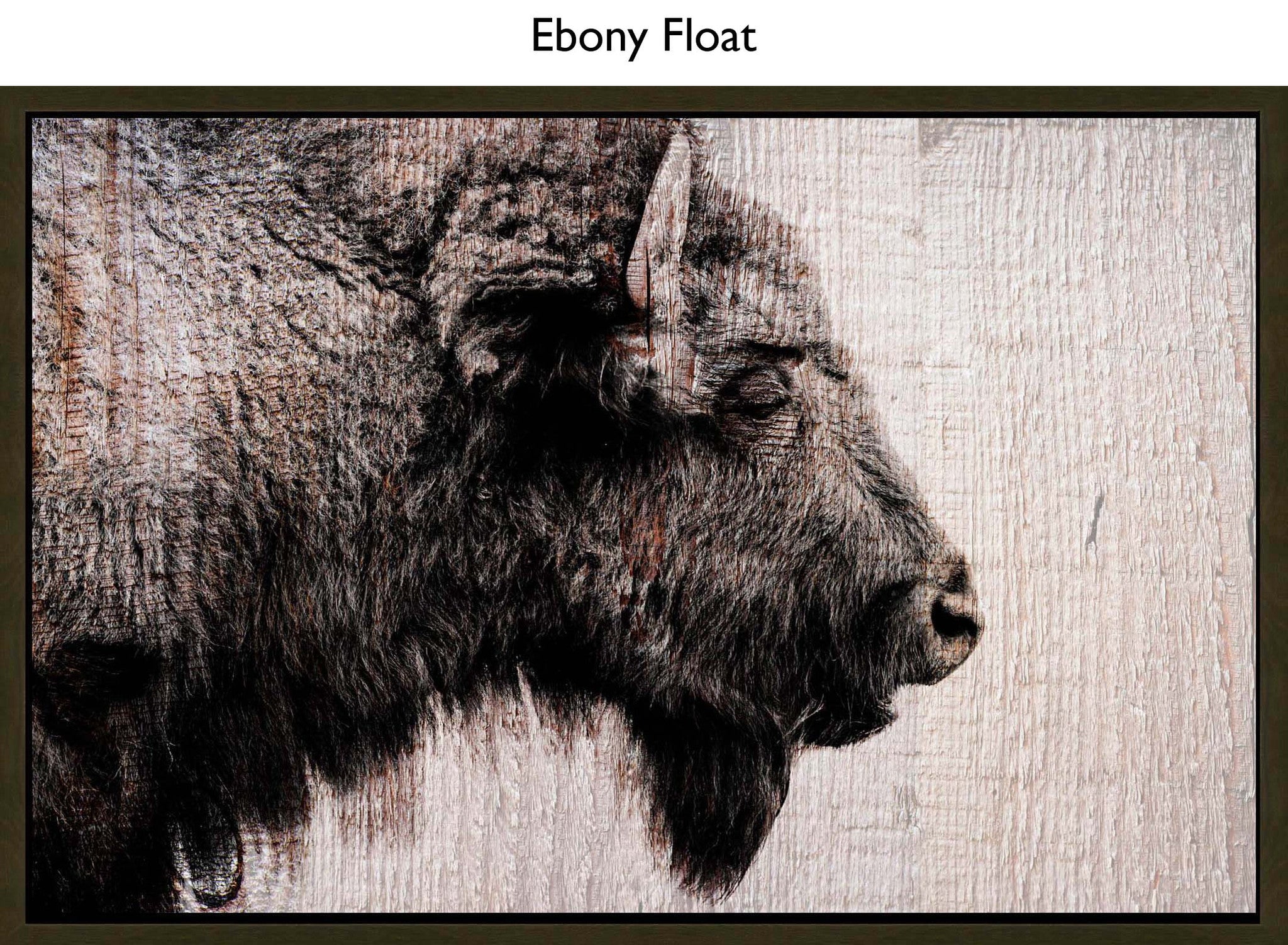 Ebony Float