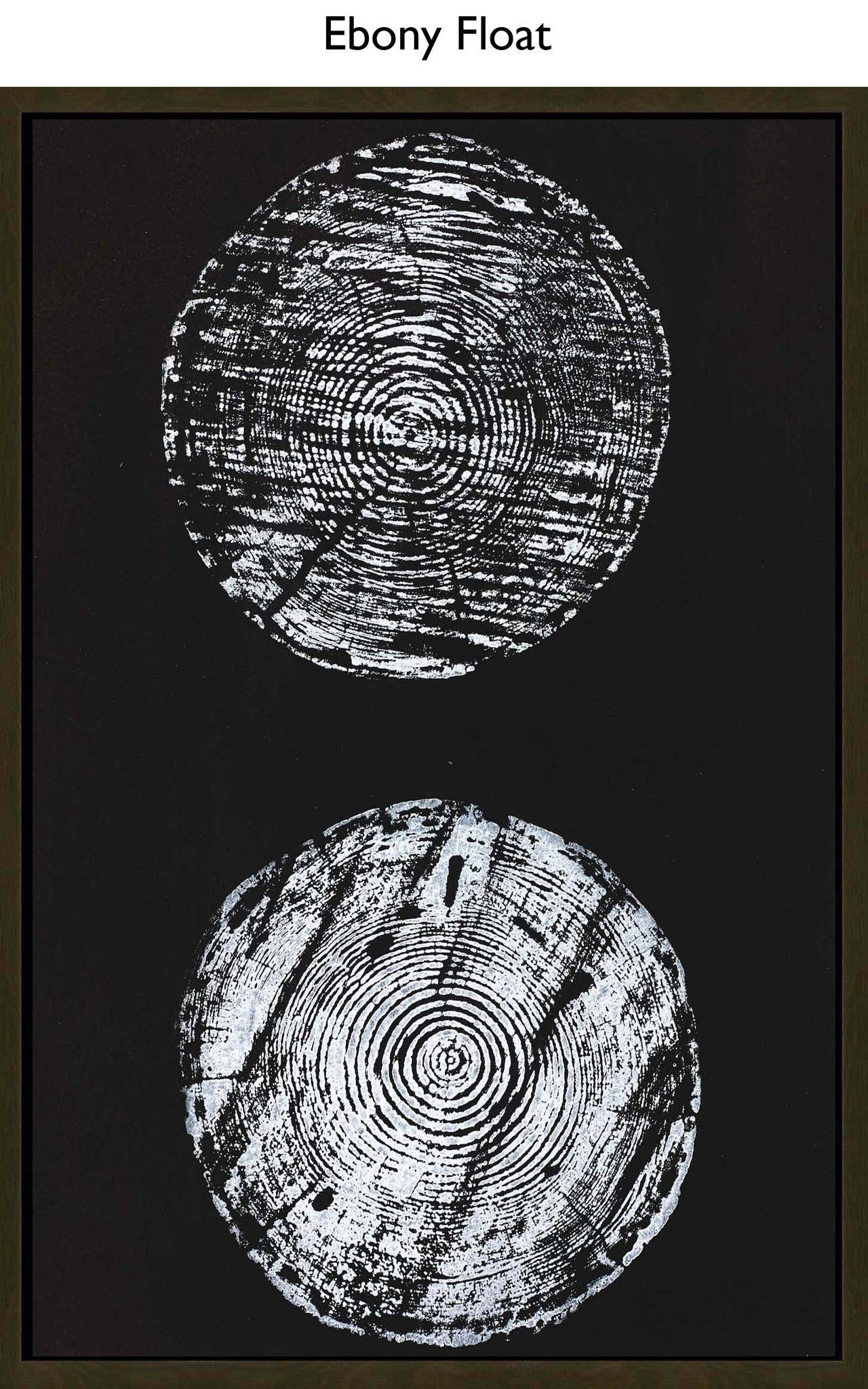 Ebony Float