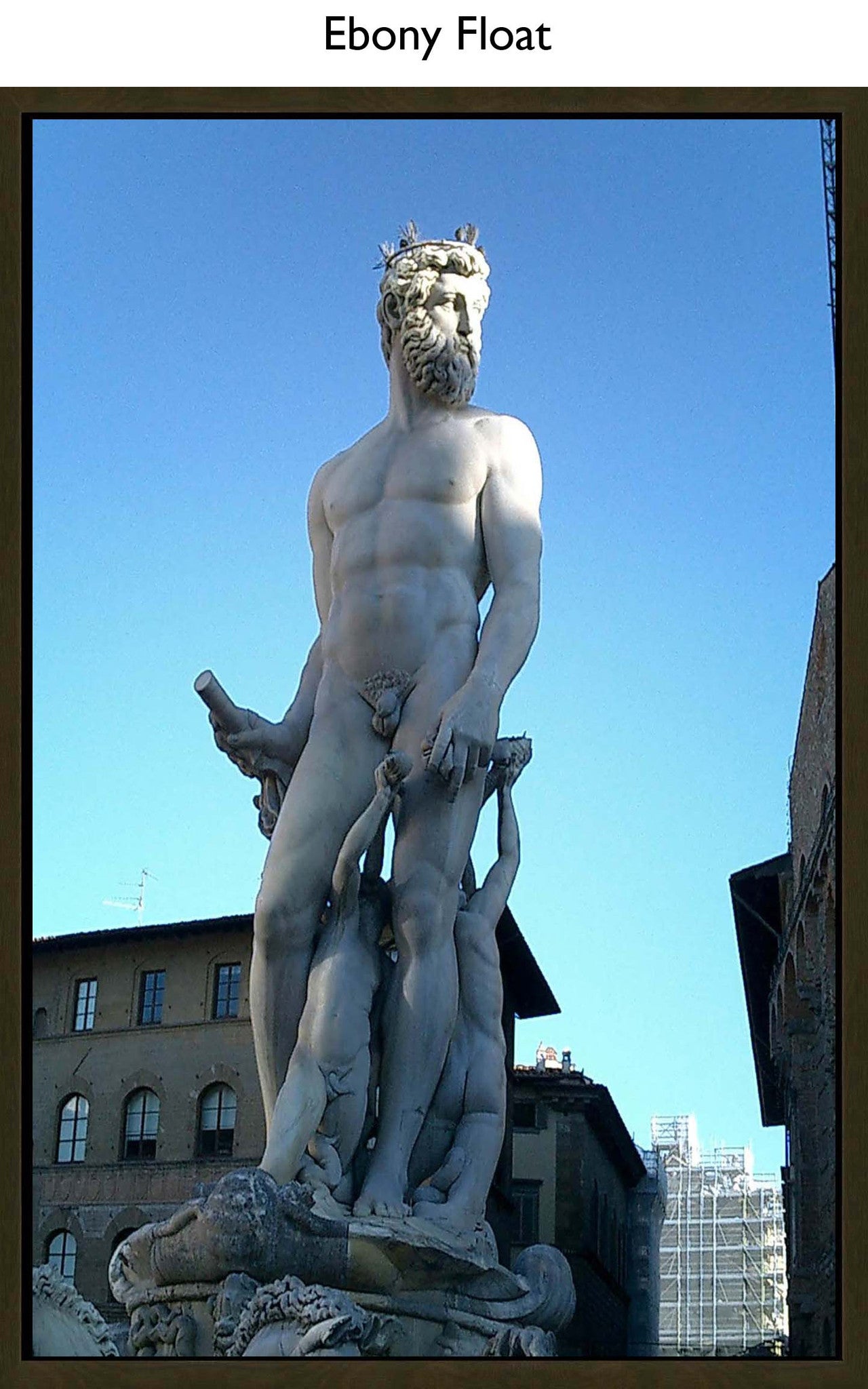 Ebony Float