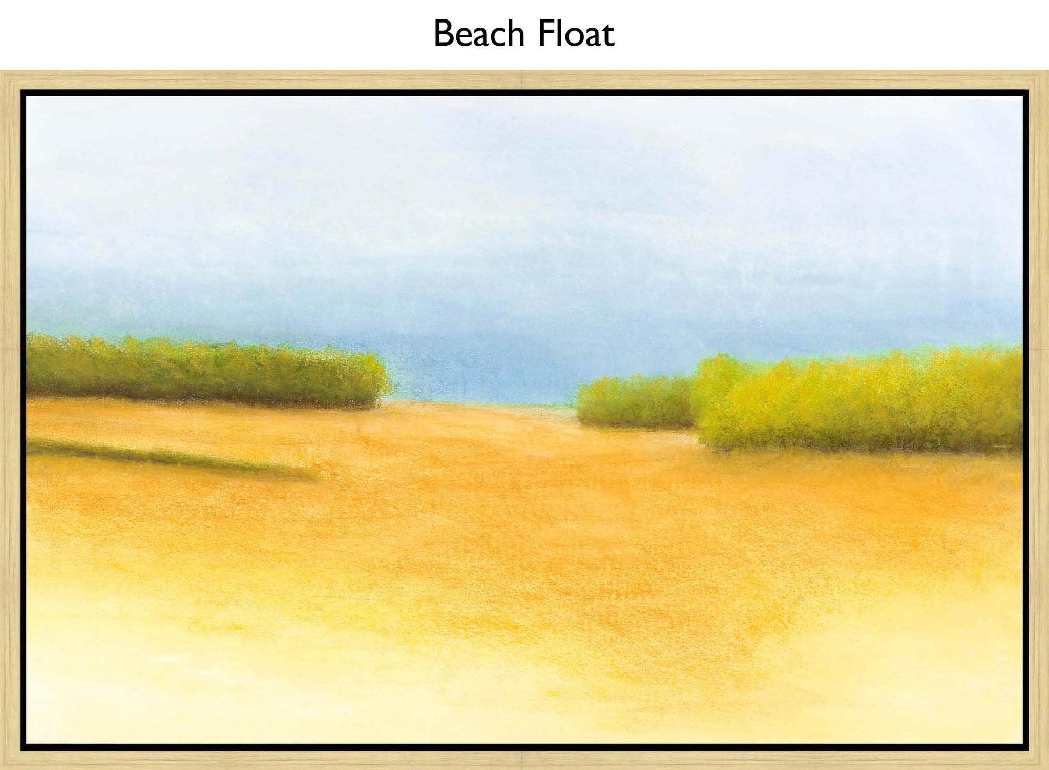 Beach Float