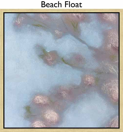 Beach Float