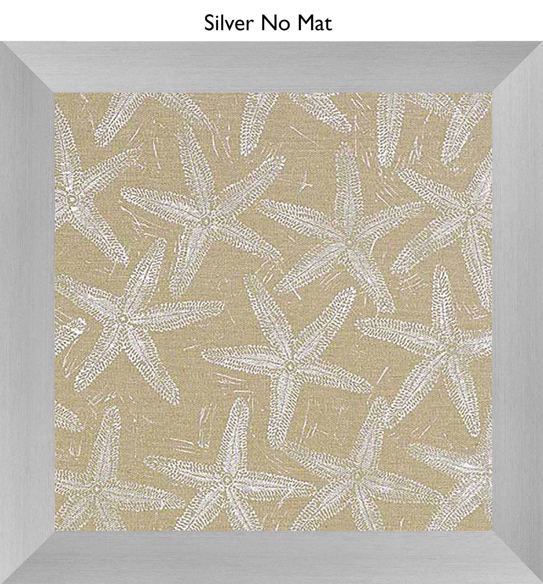 Silver No Mat