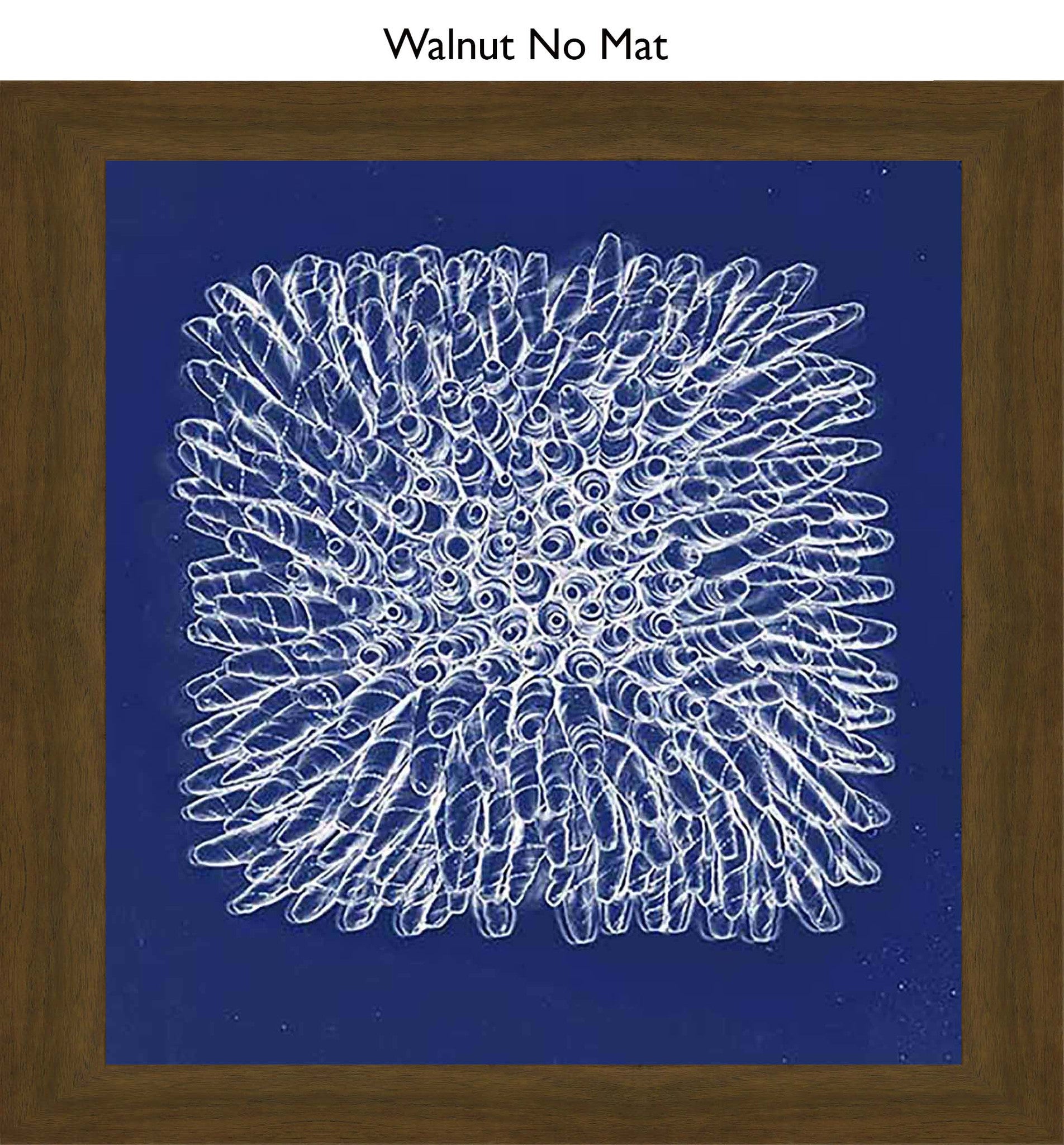 Walnut No Mat