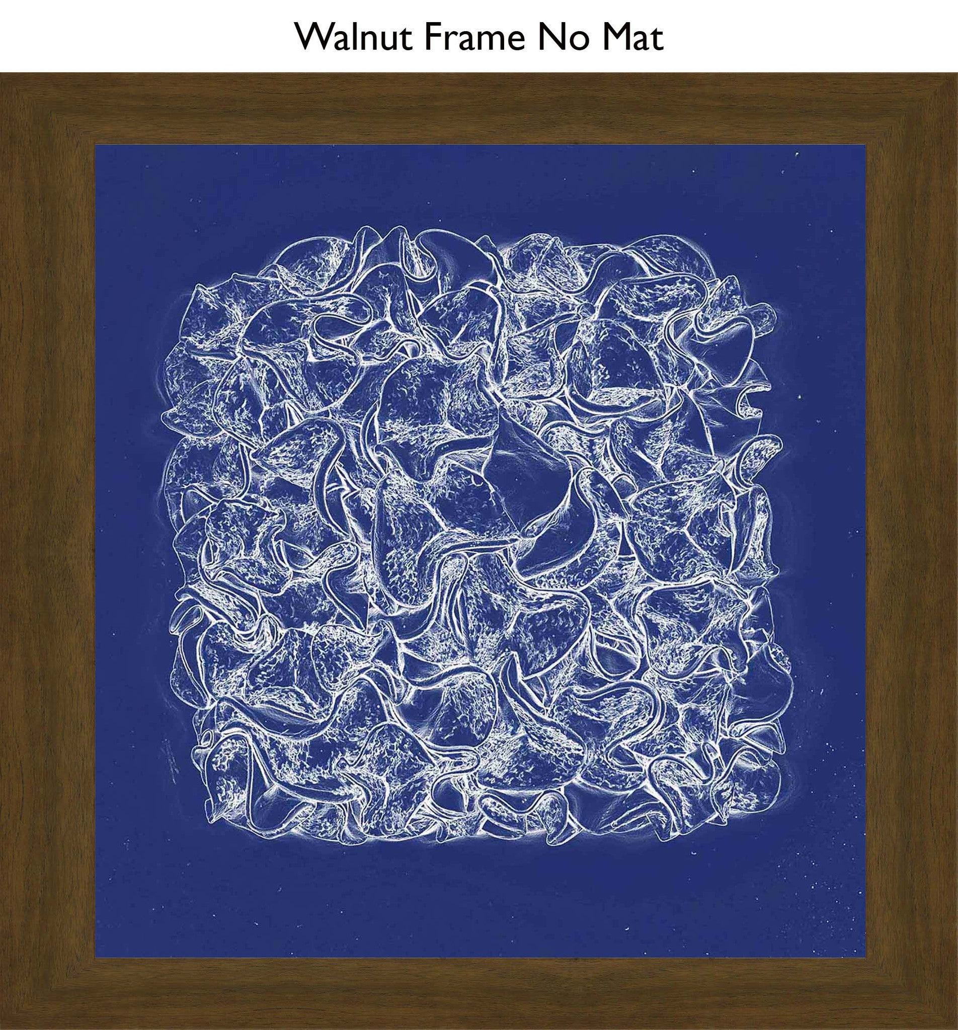 Walnut No Mat