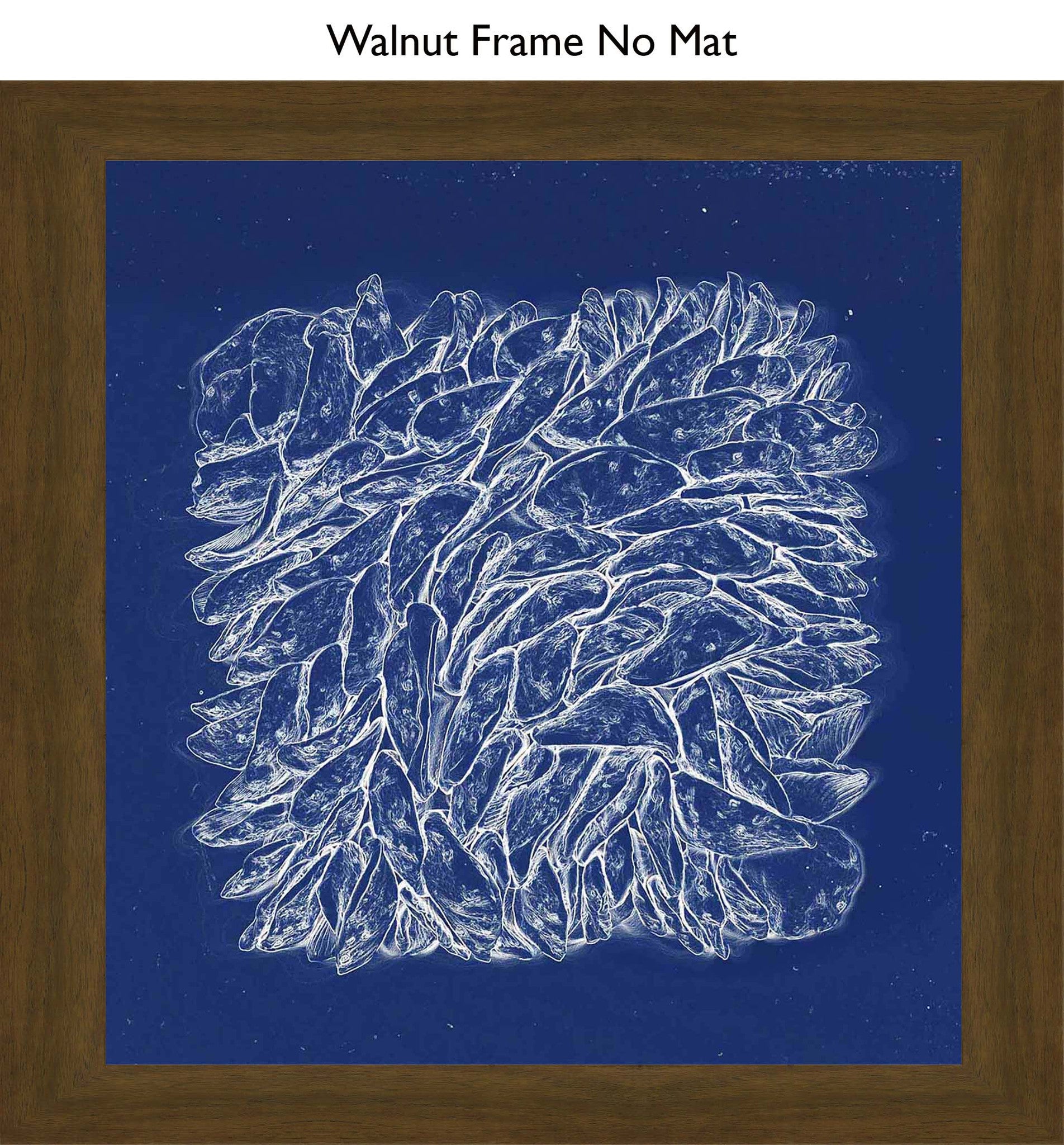 Walnut No Mat