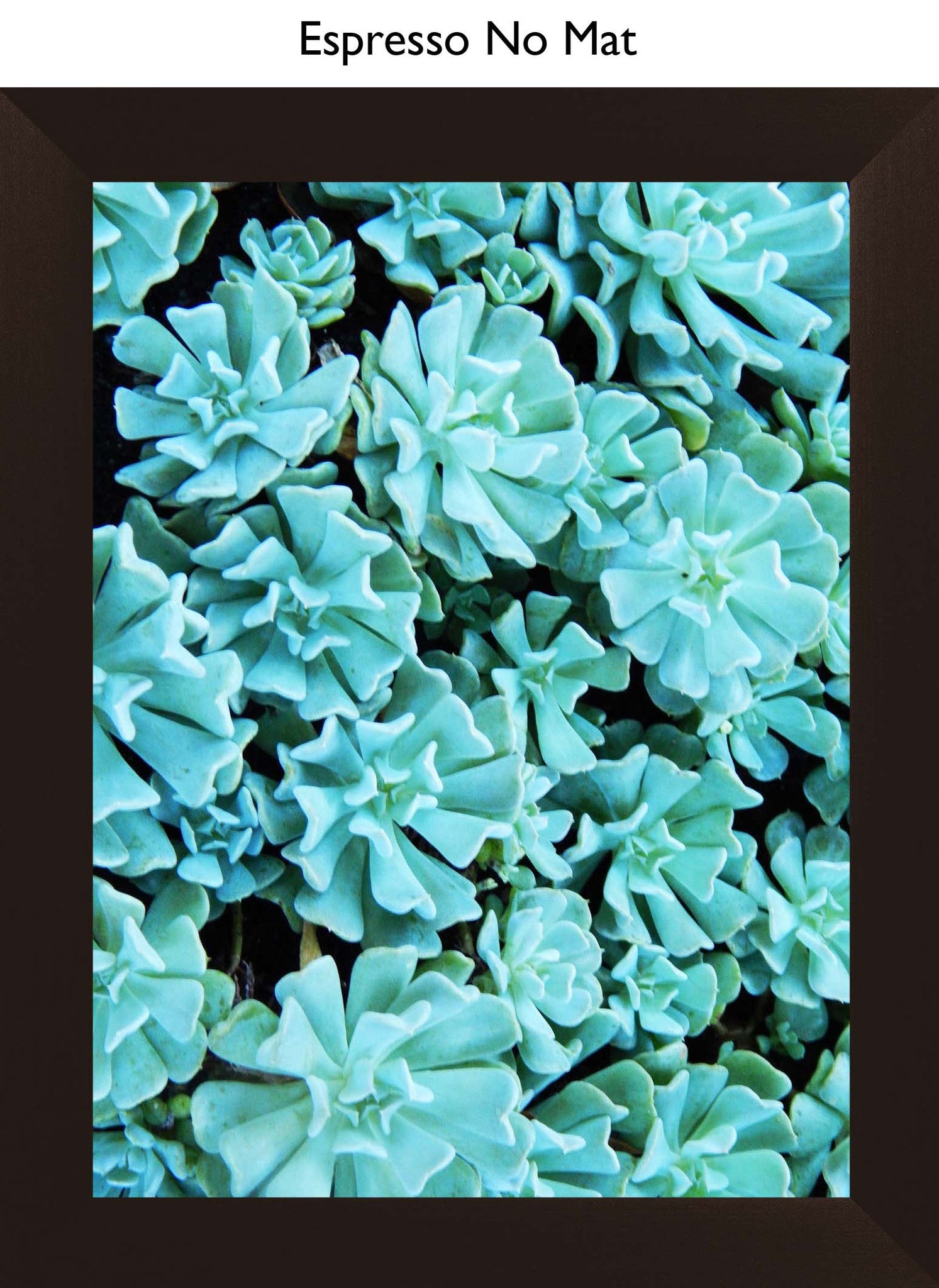 Espresso No Mat