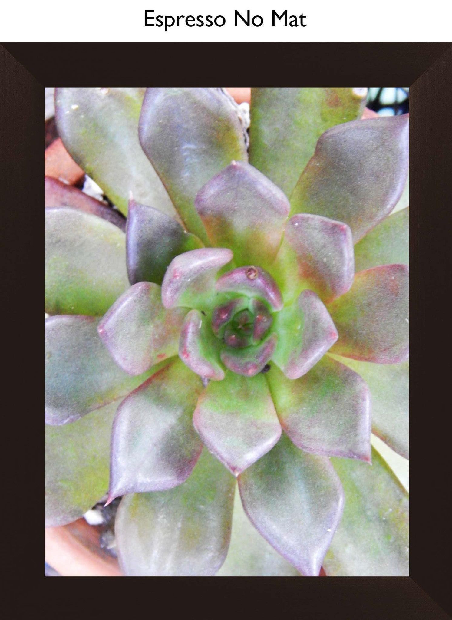 Espresso No Mat