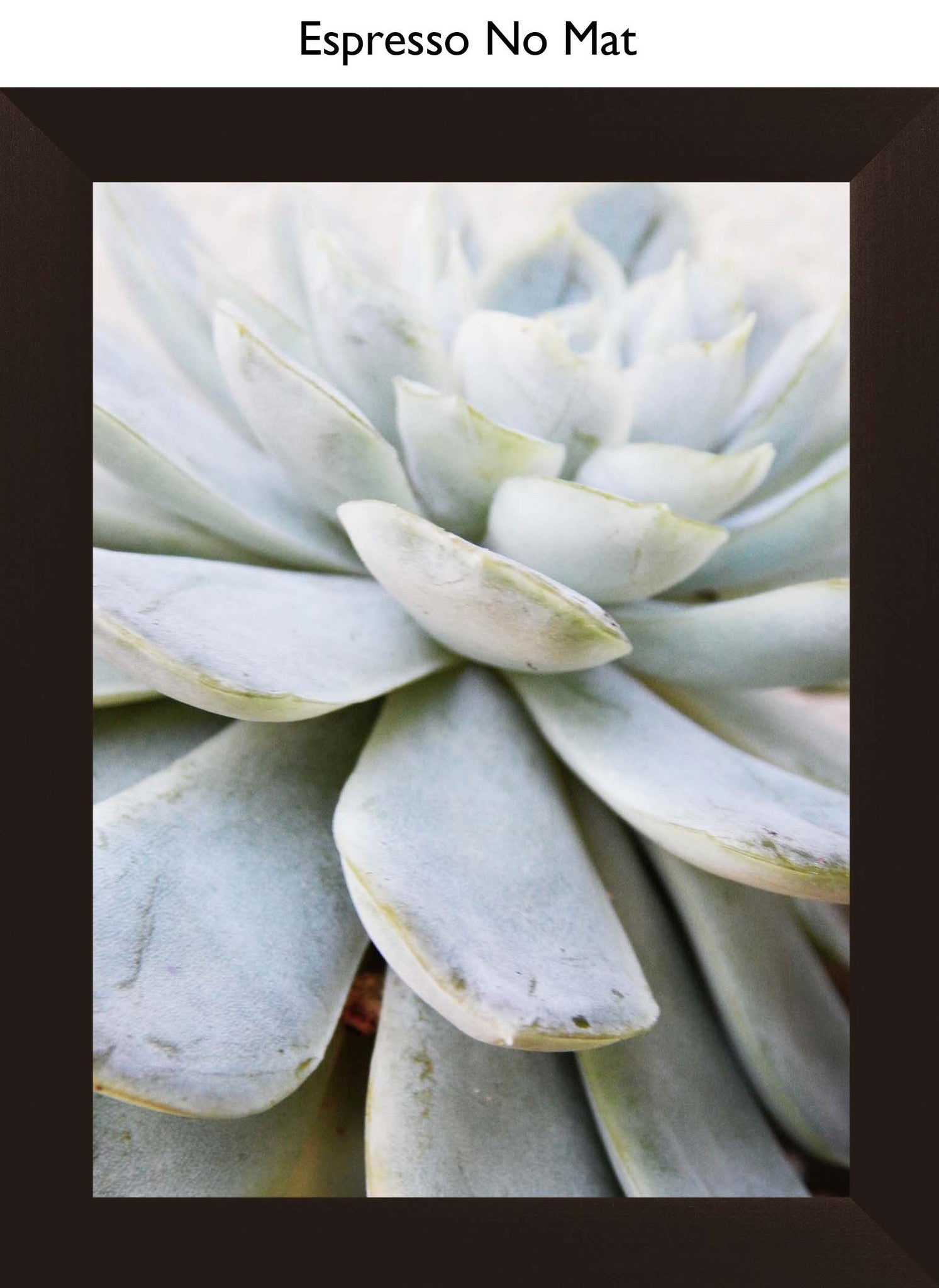 Espresso No Mat