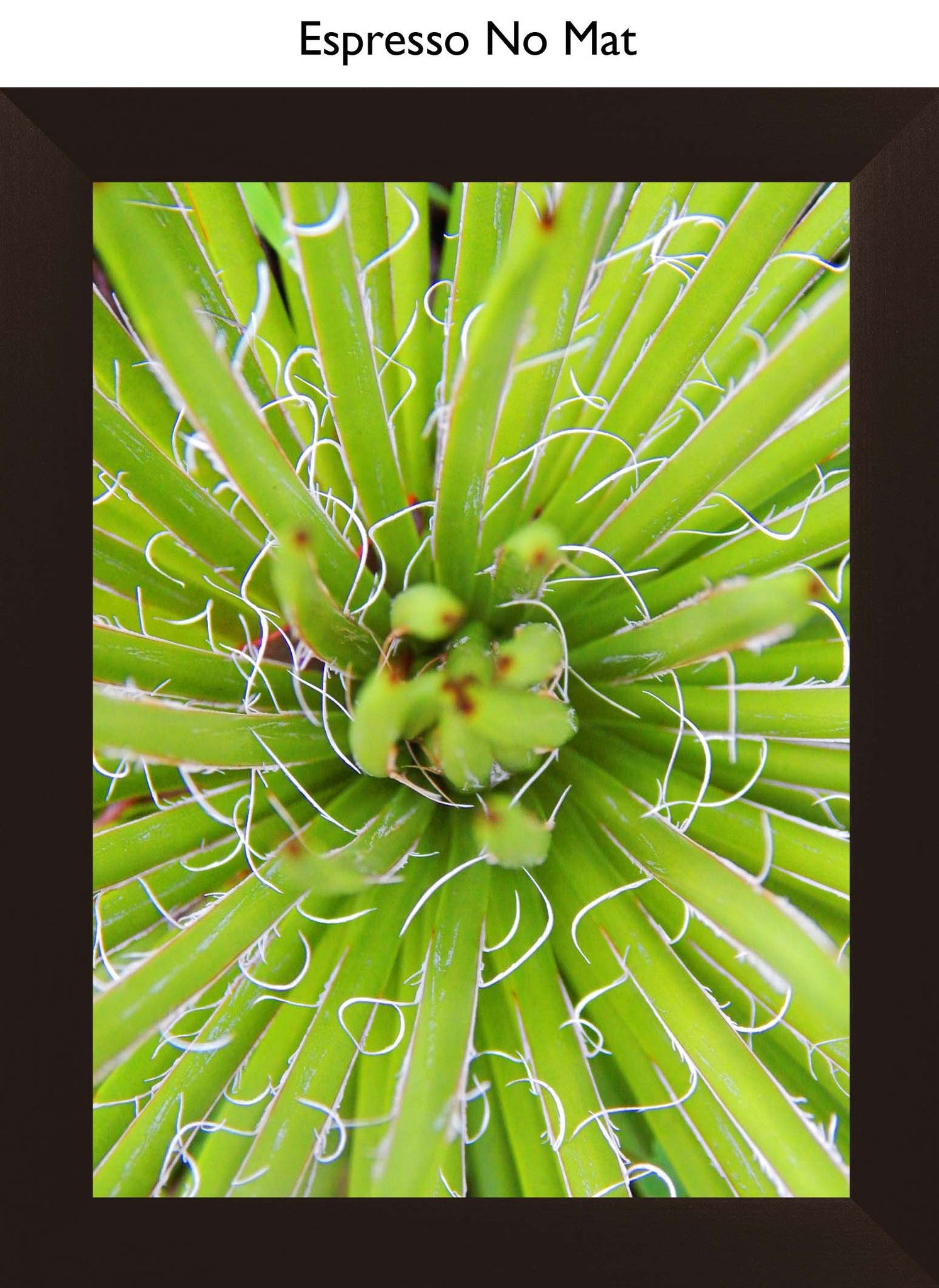 Espresso No Mat
