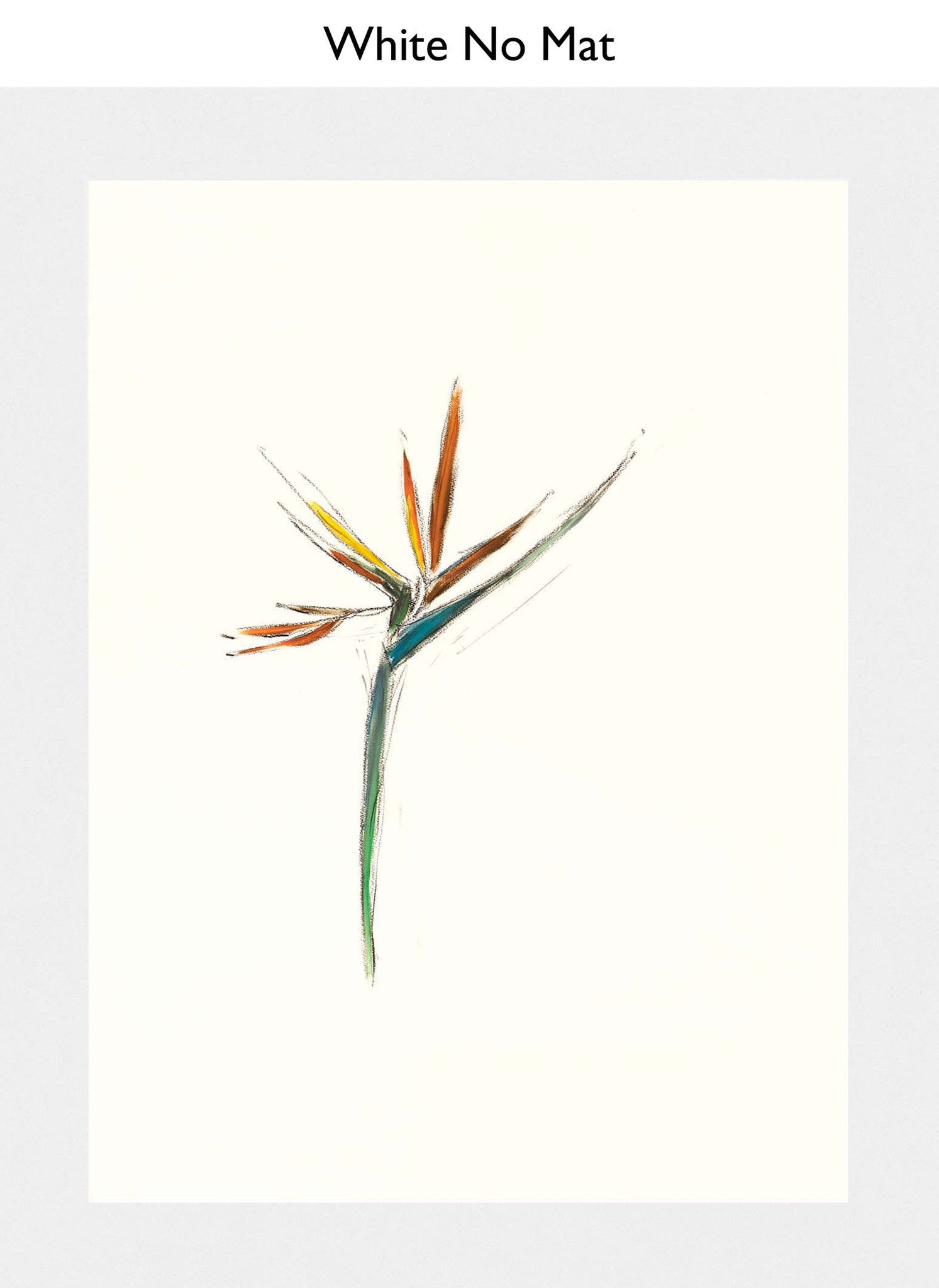 White No Mat