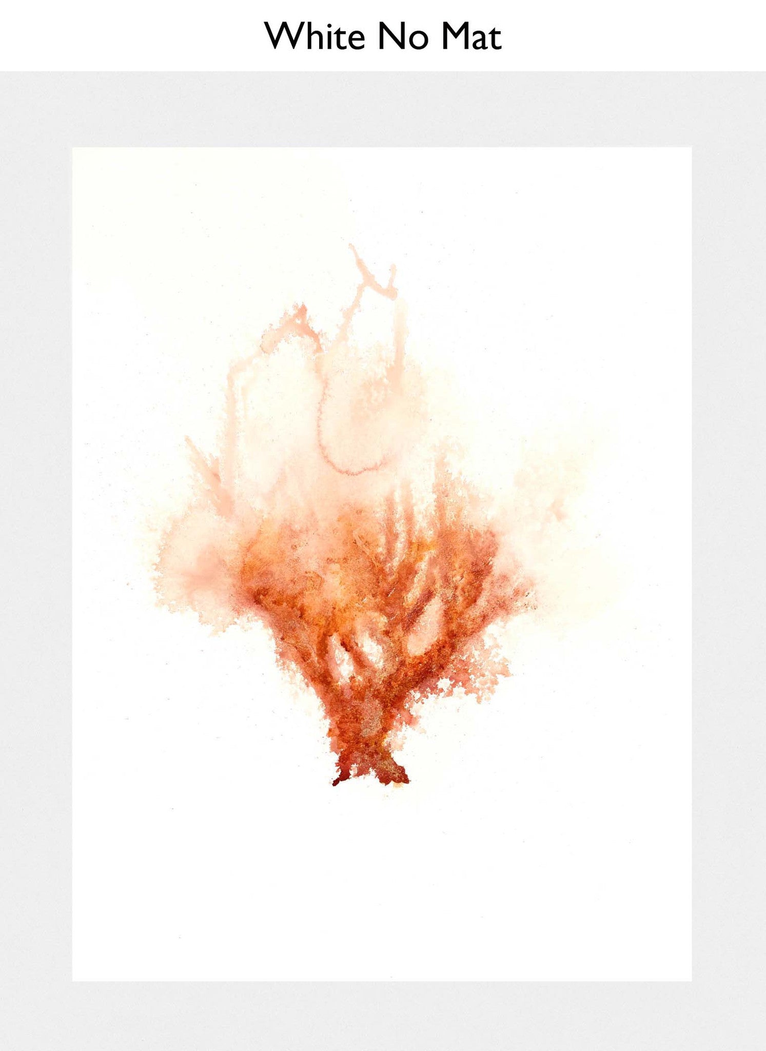 White No Mat