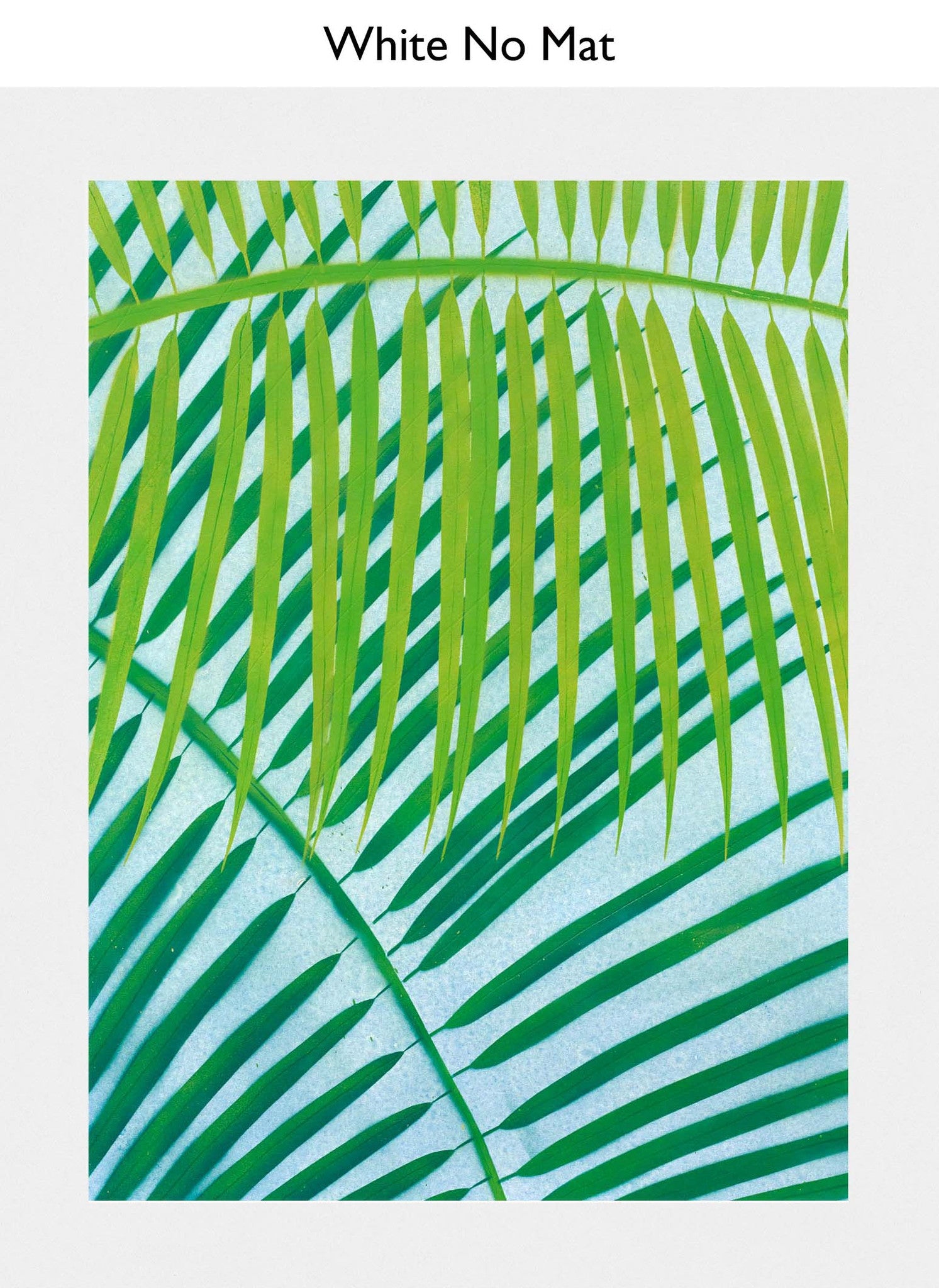 White No Mat