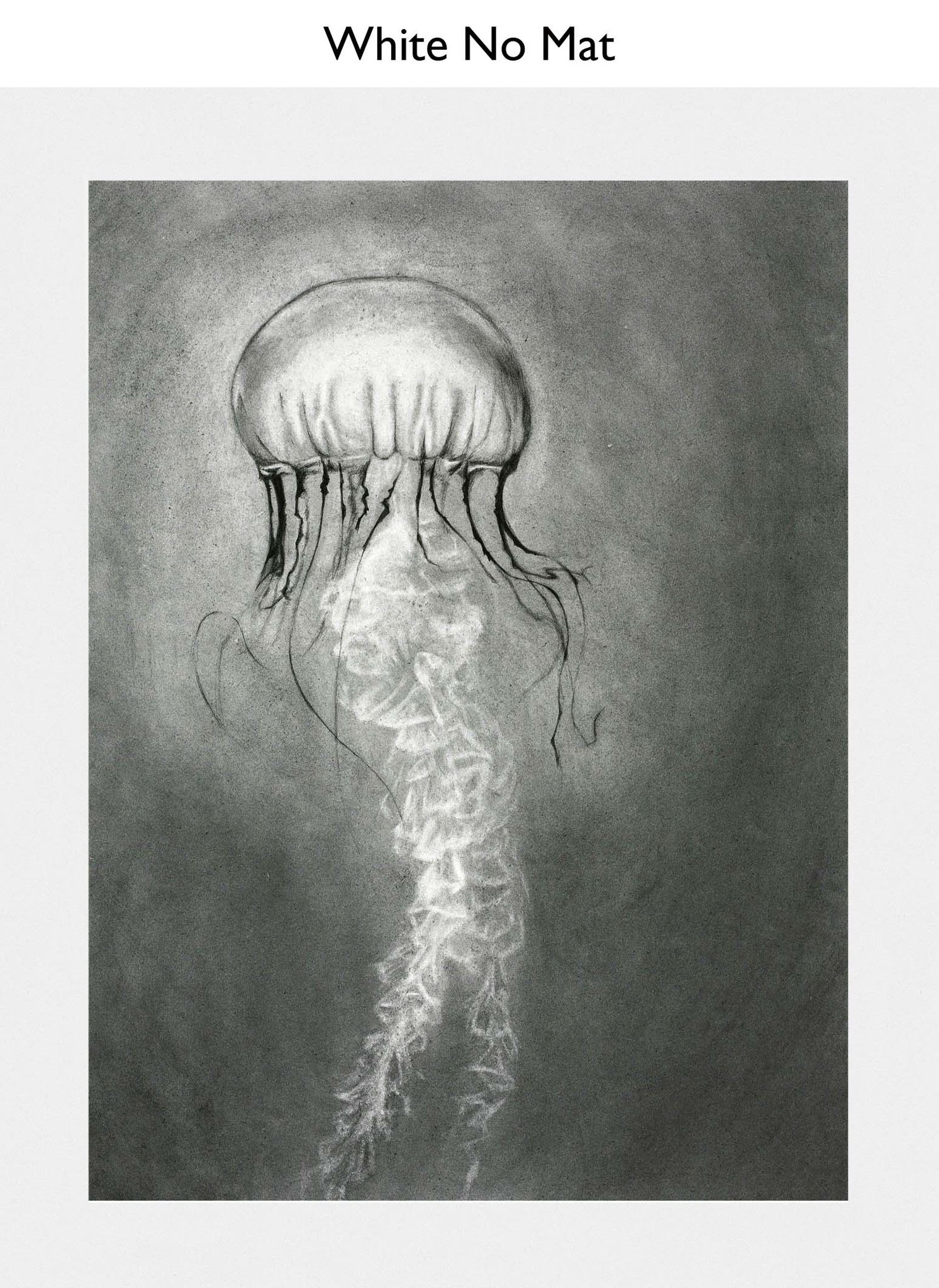 White No Mat